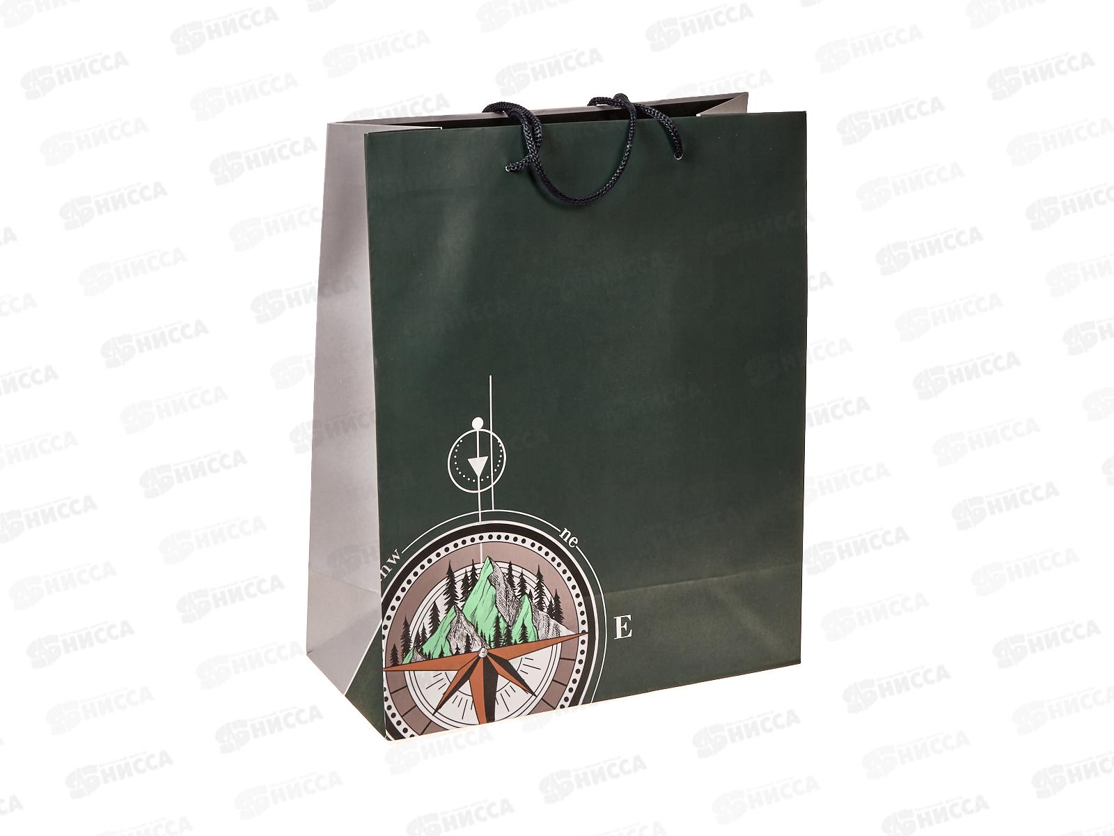 Пакет подарочный АД 26*32 0293.950