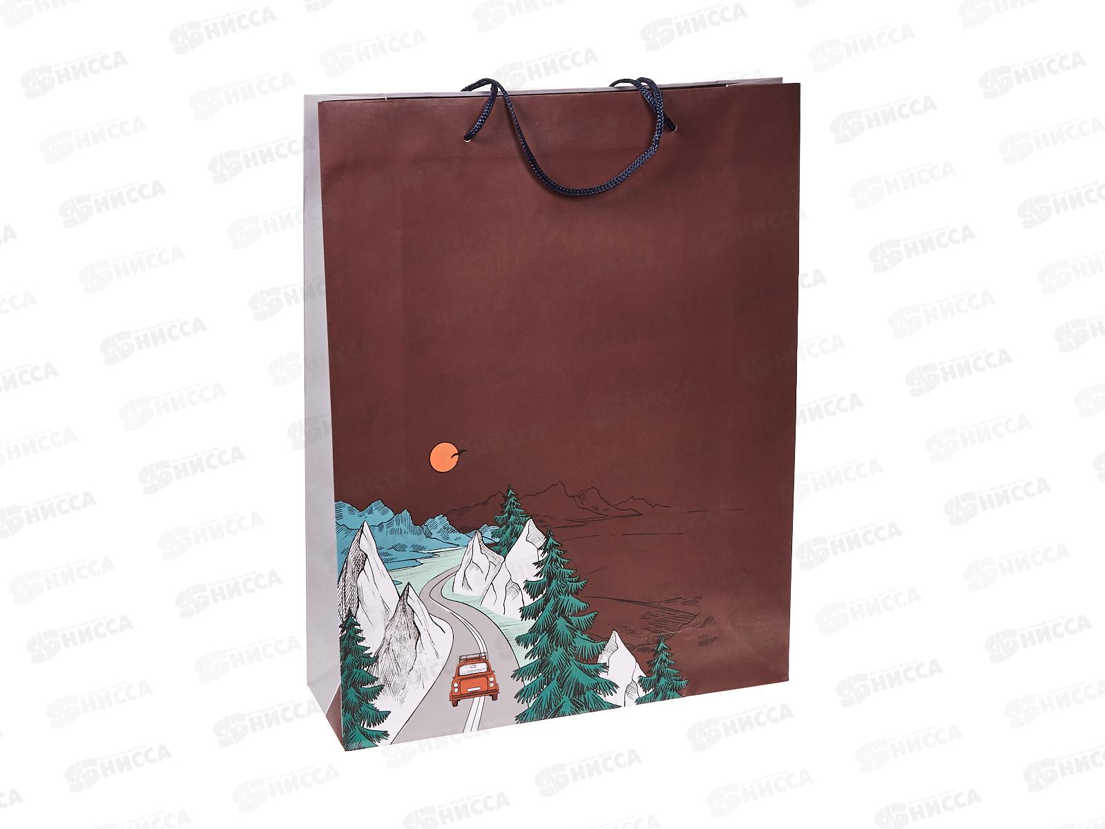 Пакет подарочный АД 33*42,5 0295.949