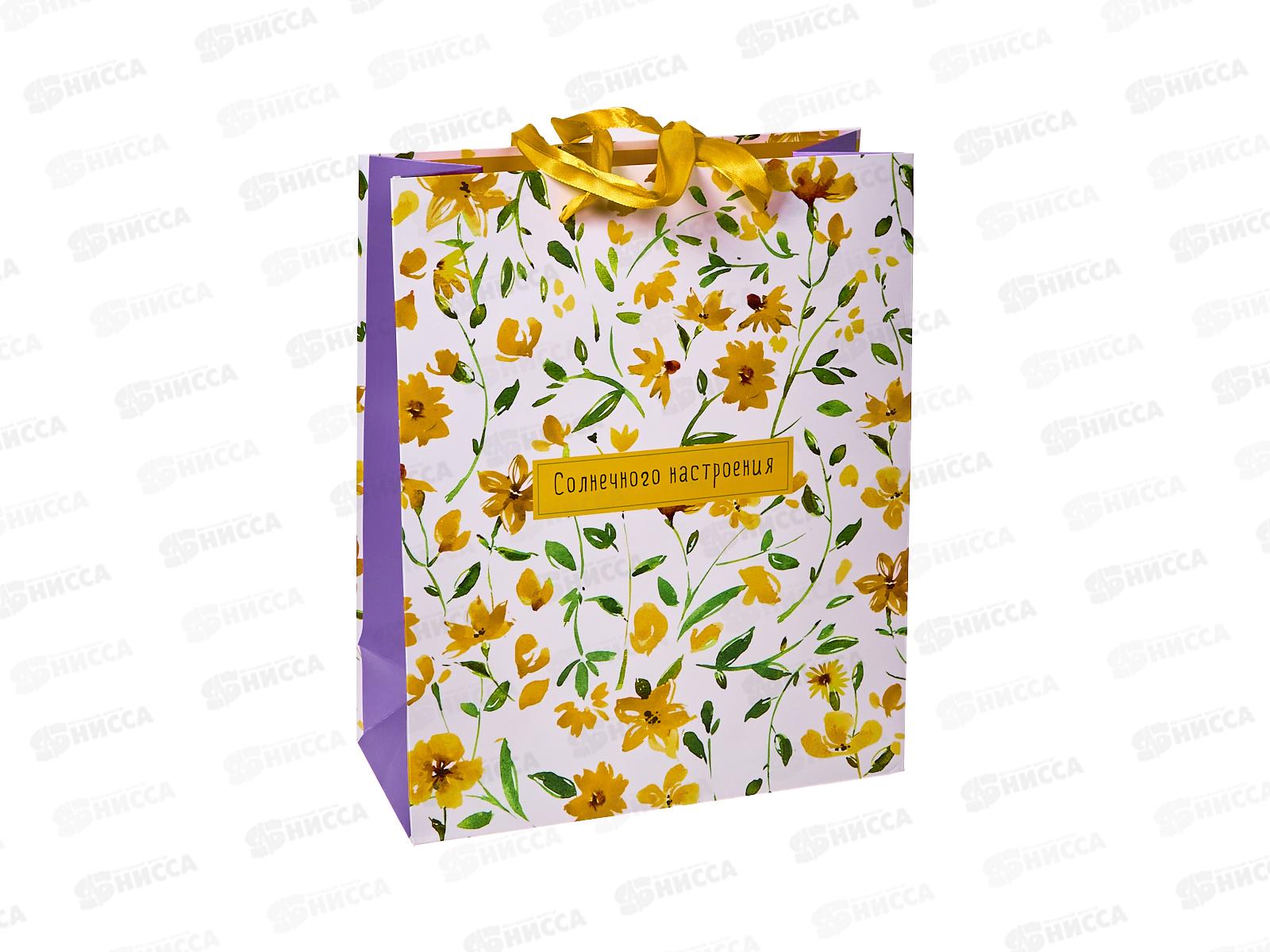 Пакет подарочный АД 26*32 Стандарт плюс 1310.645