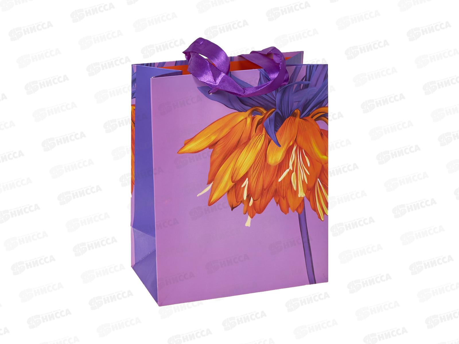 Пакет подарочный АД 18*22,3 Стандарт плюс 1312.654