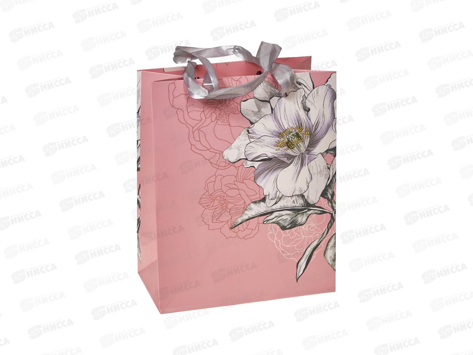 Пакет подарочный АД 18*22,3 Стандарт плюс 1312.663