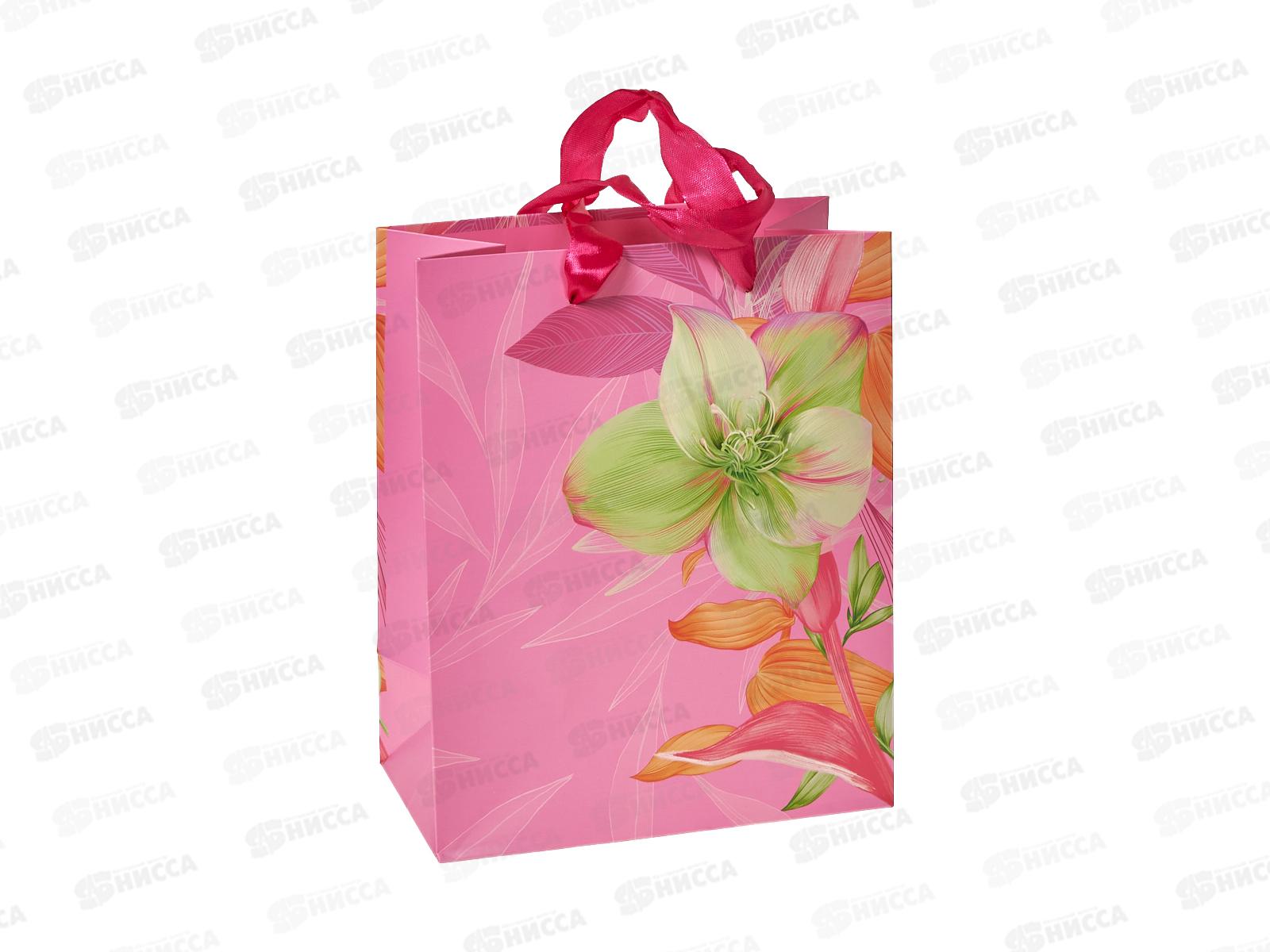 Пакет подарочный АД 18*22,3 Стандарт плюс 1312.673