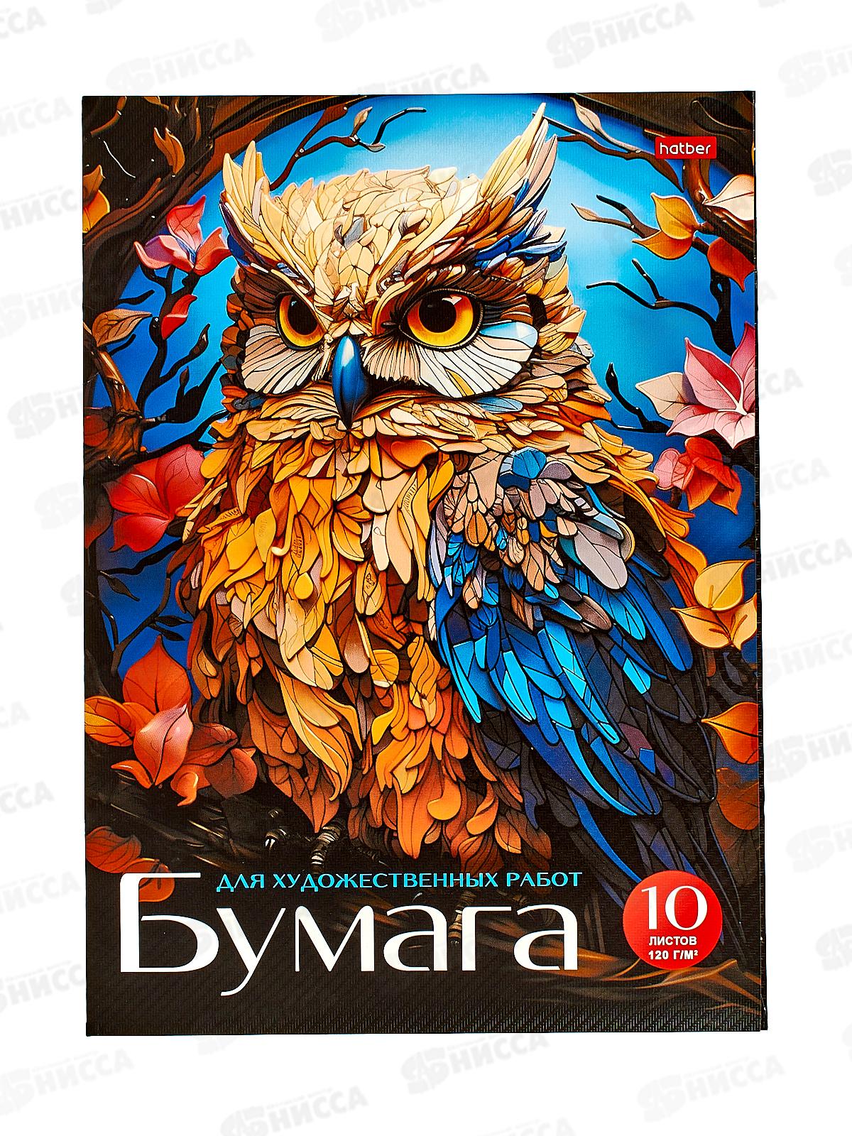Папка для рисования и худ.работ  А4 10л Hatber Мудрая сова,31102