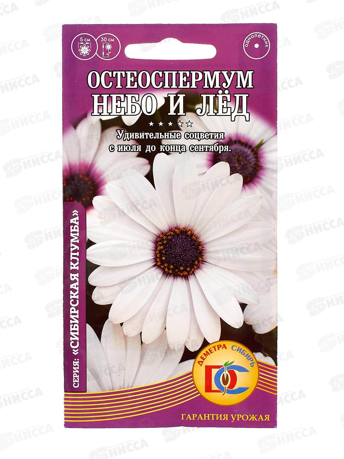 Остеоспермум Небо и Лед 0,1гр *10 ДемСиб