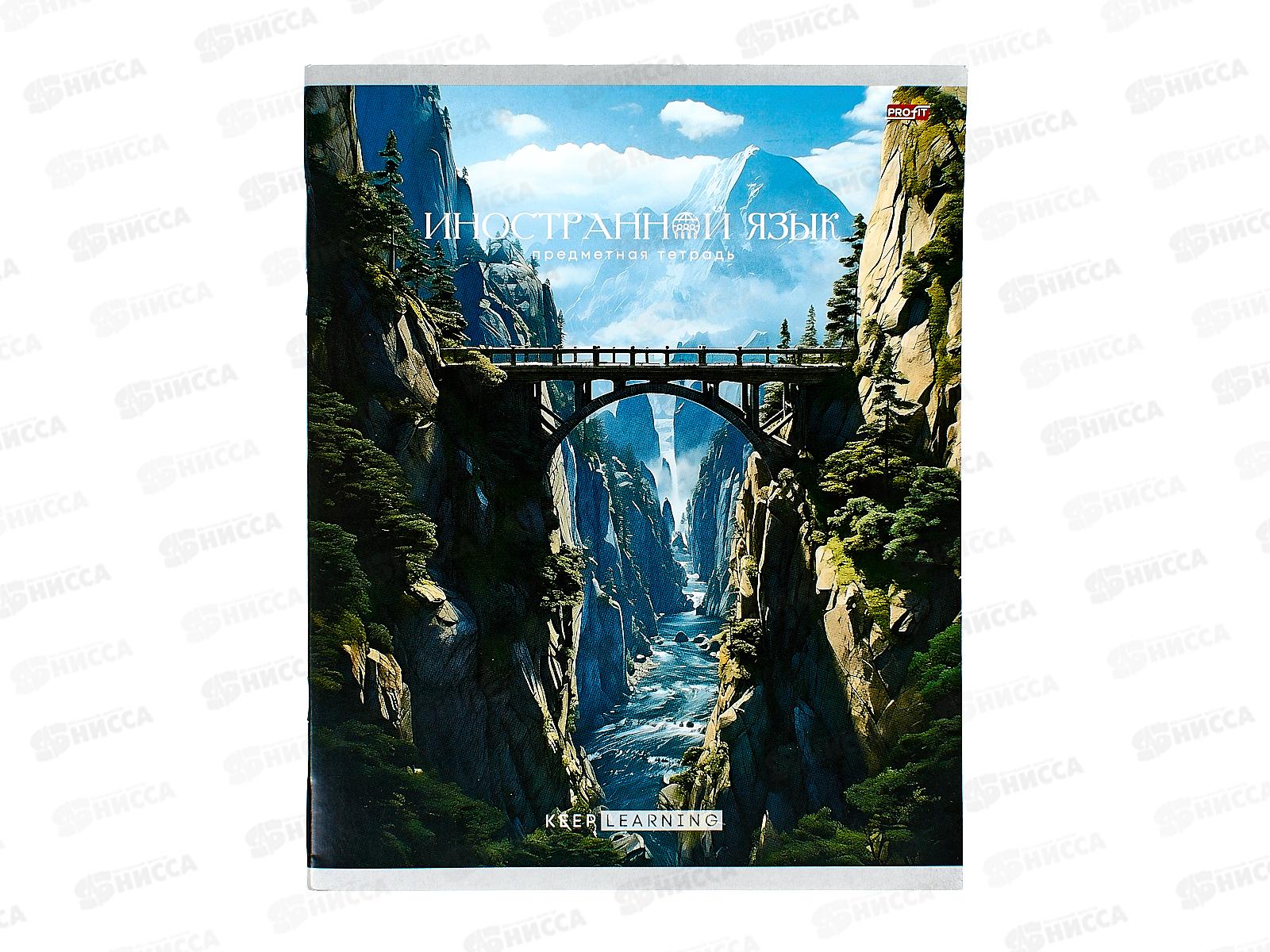 Тетрадь 36листов клетка  Profit &quotГармония&quot Иностранный язык, эконом, Т36-1554 *80