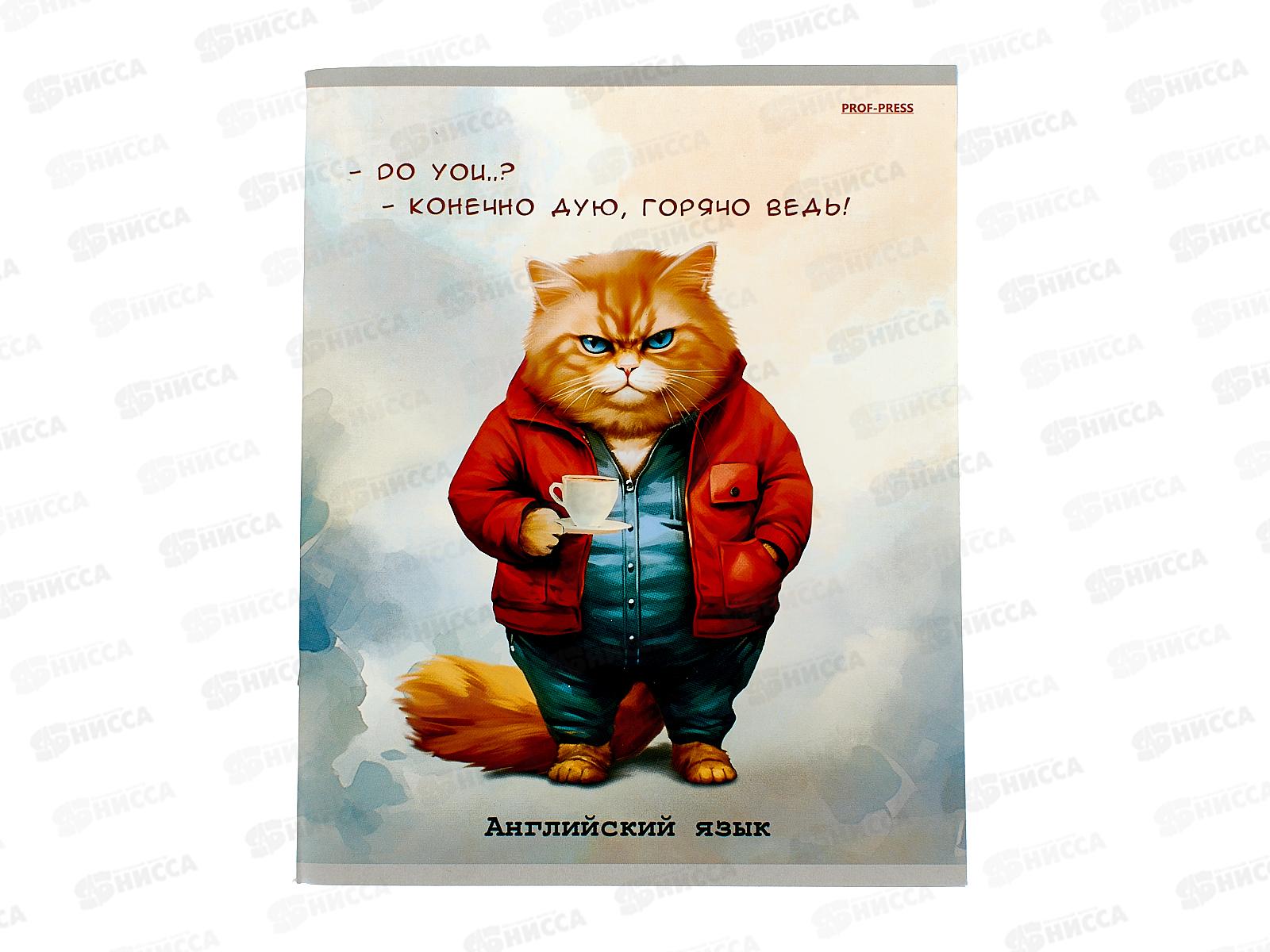 Тетрадь 48л кл. ПП &quotЖил был кот&quot Английский язык, Т48-1444 *10/80