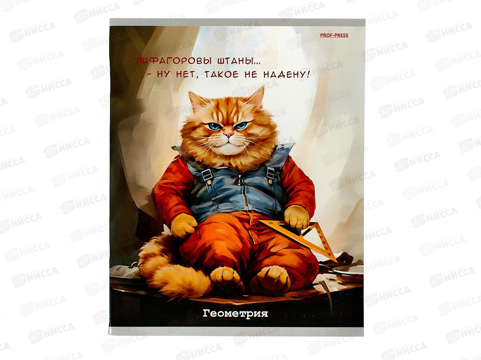 Тетрадь 48л кл. ПП &quotЖил был кот&quot Геометрия, Т48-1447 *10/80