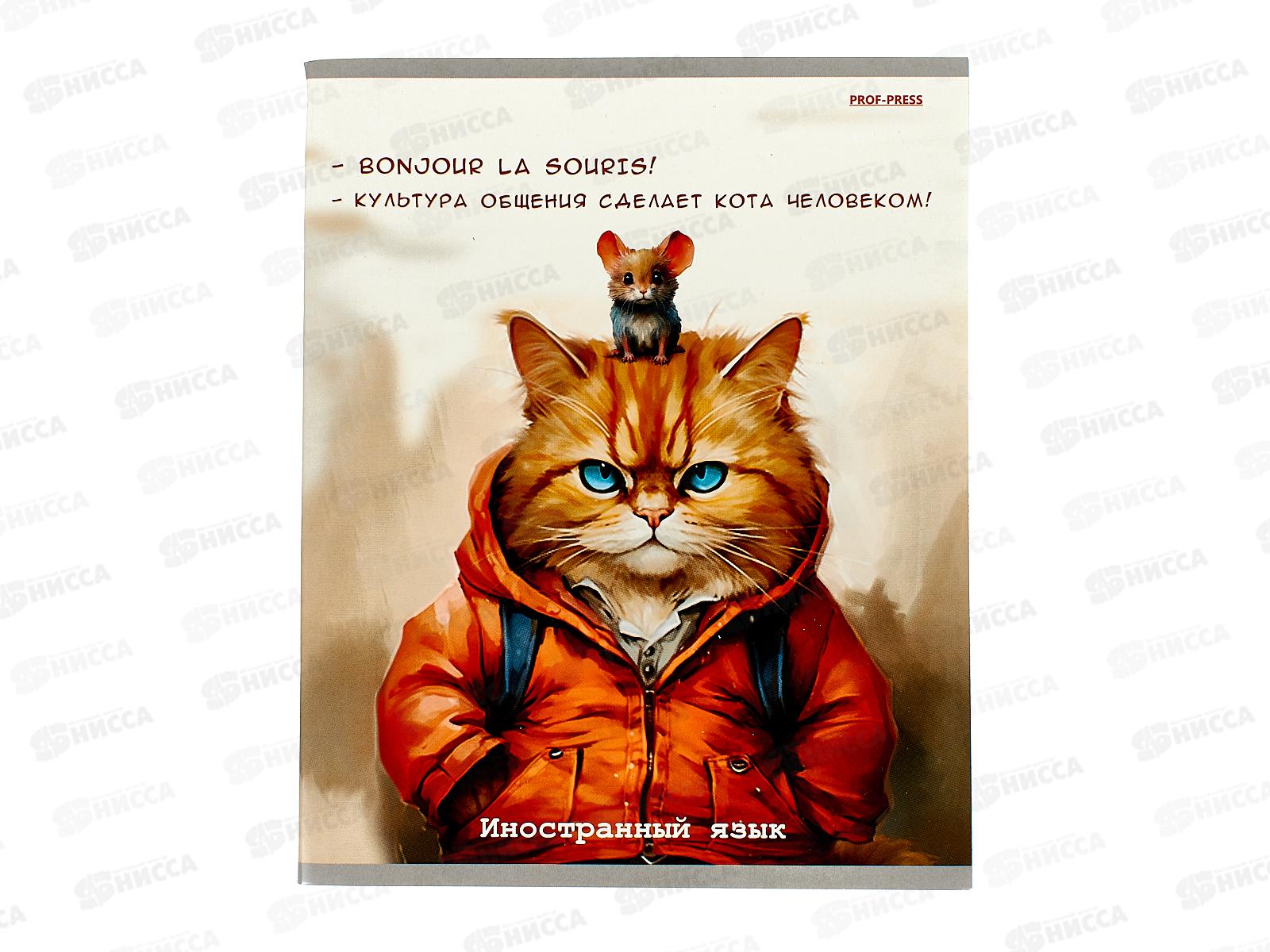 Тетрадь 48л кл. ПП &quotЖил был кот&quot Иностранный язык, Т48-2316 *10/80