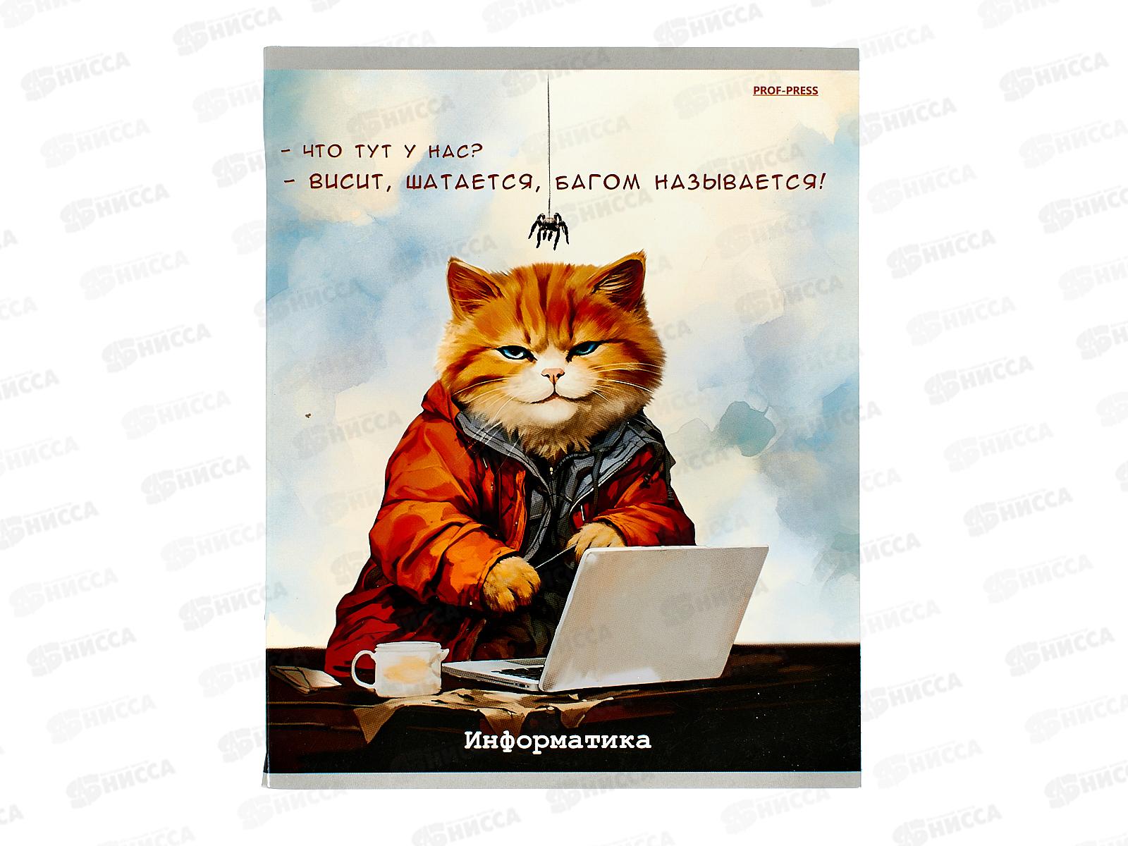 Тетрадь 48л кл. ПП &quotЖил был кот&quot Информатика, Т48-2317 *10/80