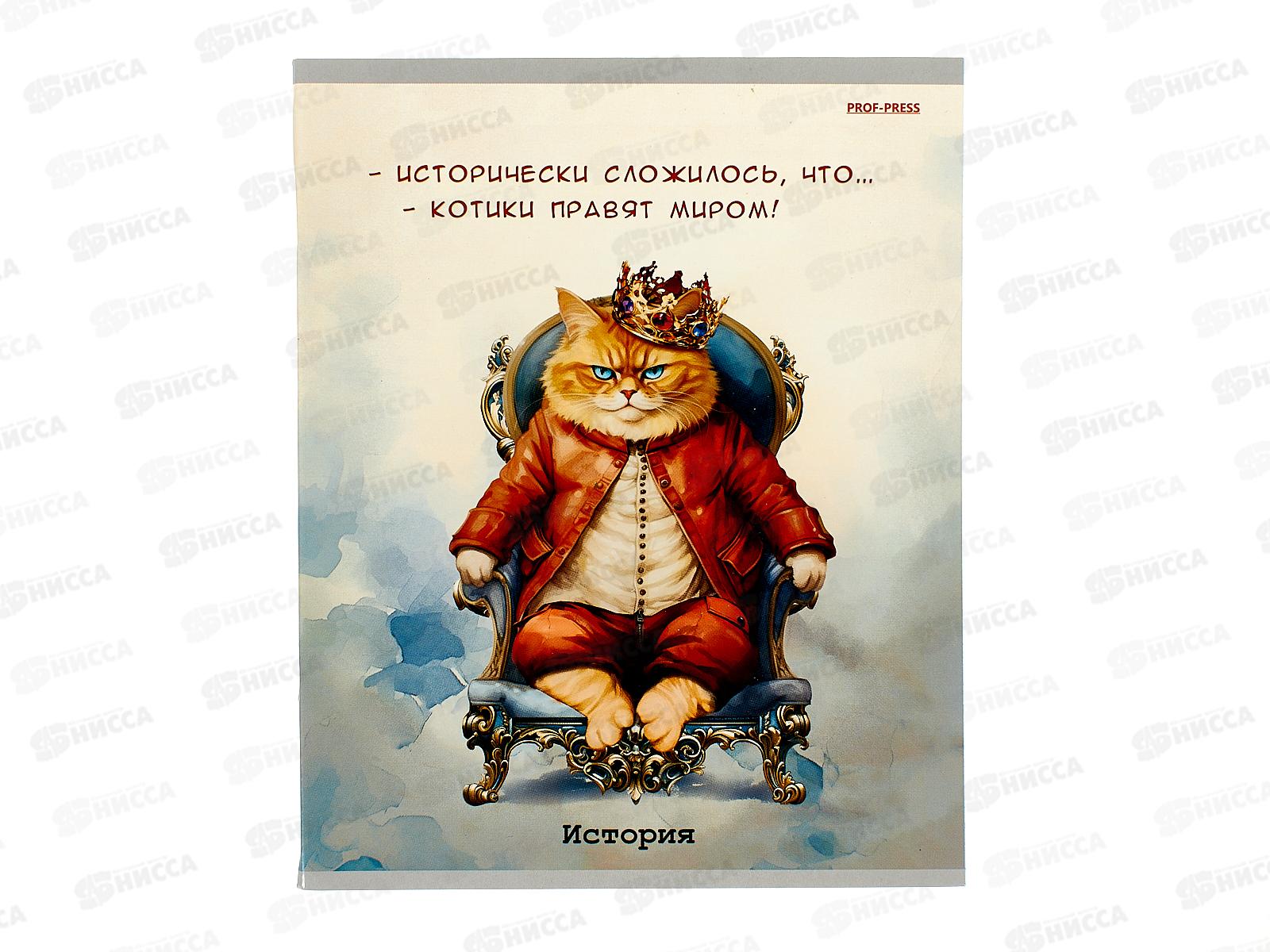 Тетрадь 48л кл. ПП &quotЖил был кот&quot История, Т48-1448 *10/80