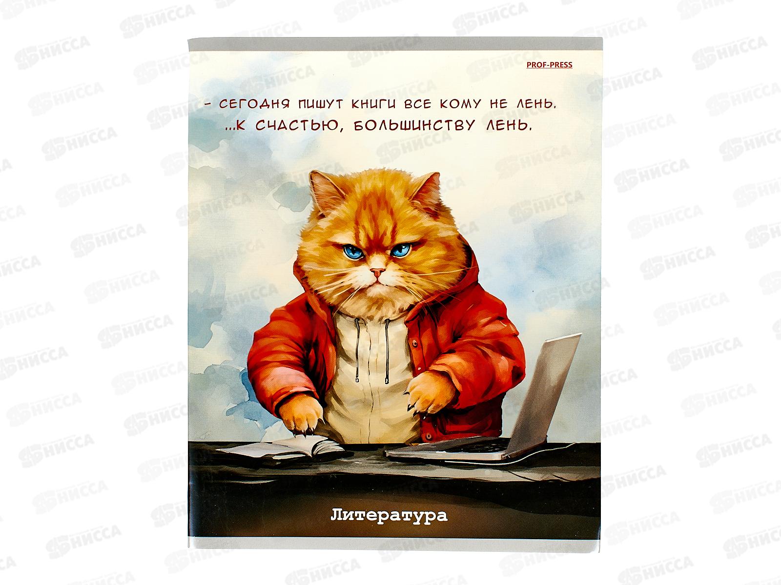 Тетрадь 48л линия ПП &quotЖил был кот&quot Литература, Т48-1451 *10/80