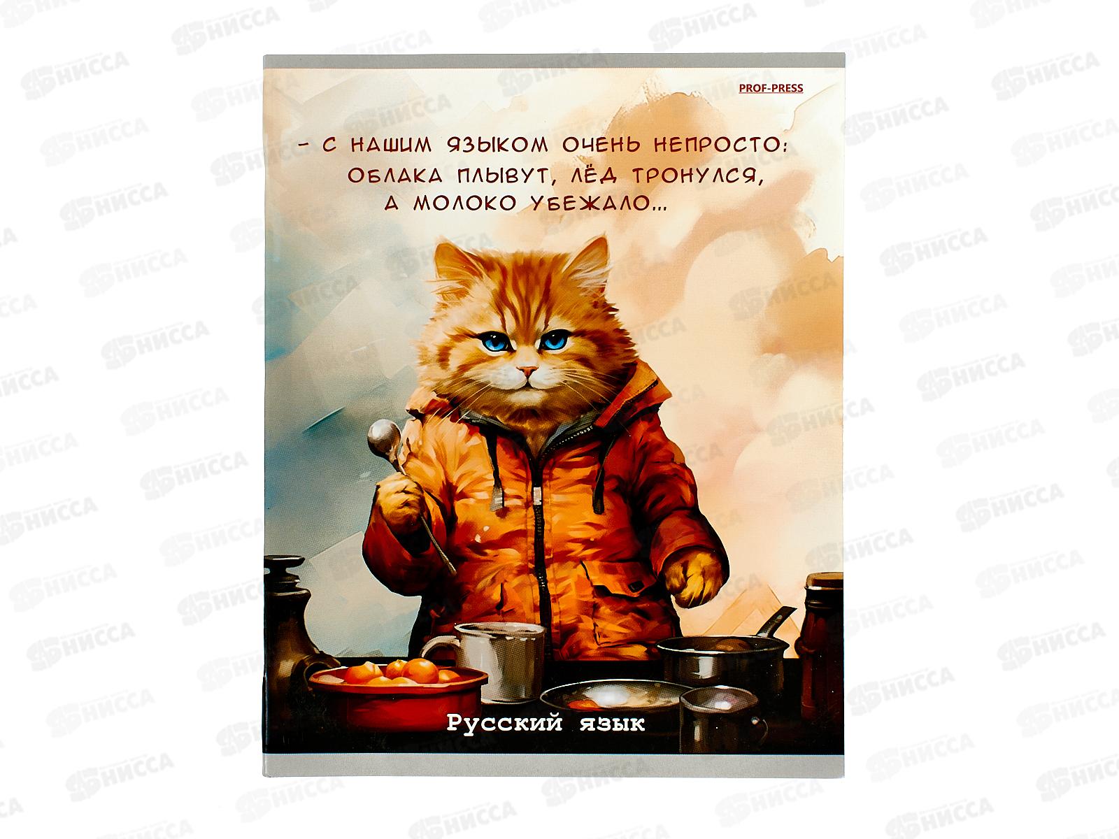 Тетрадь 48л линия ПП &quotЖил был кот&quot Русский язык, Т48-1452 *10/80
