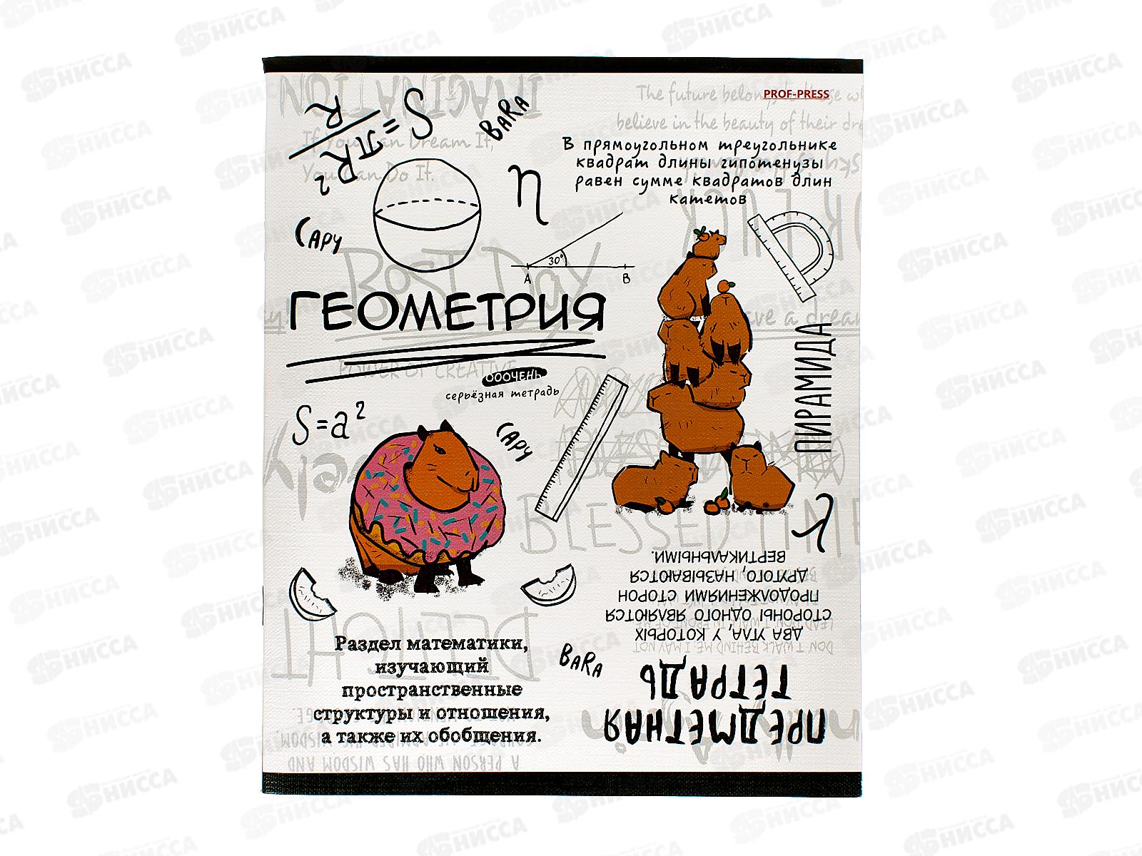 Тетрадь 48л кл. ПП &quotКапибара&quot Геометрия, 48-0035 *10/80