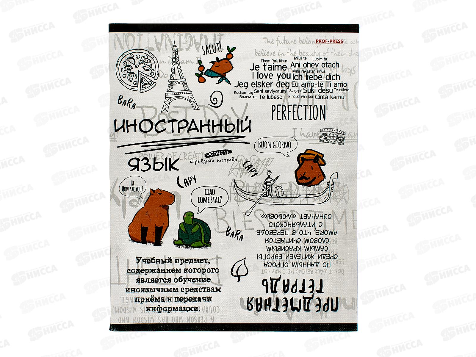 Тетрадь 48л кл. ПП &quotКапибара&quot Иностранный язык, 48-0036 *10/80