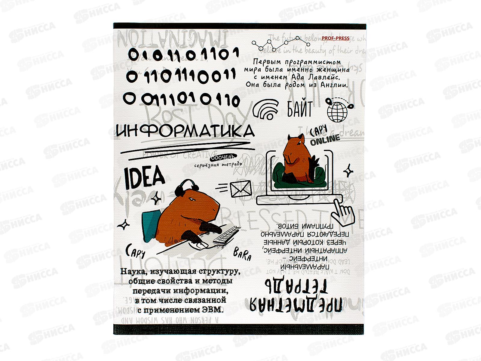 Тетрадь 48л кл. ПП &quotКапибара&quot Информатика, 48-0037 *10/80