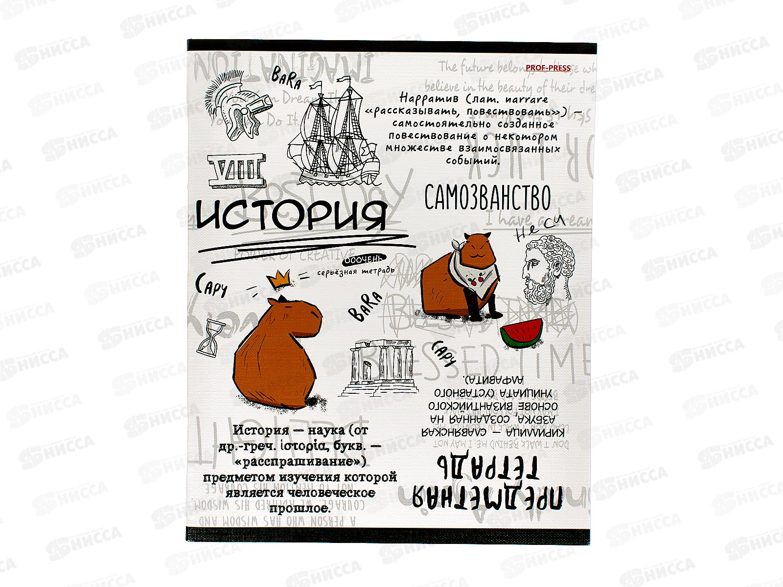 Тетрадь 48л кл. ПП &quotКапибара&quot История, 48-0038 *10/80