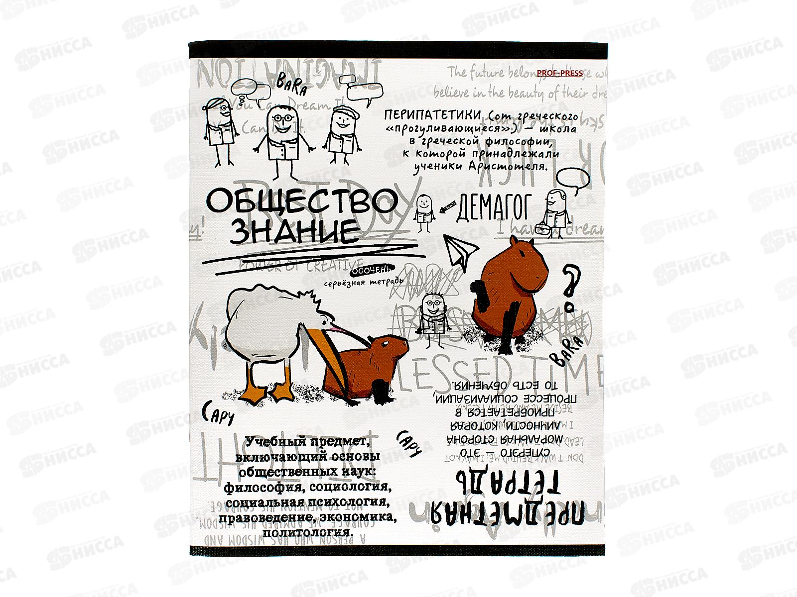 Тетрадь 48л кл. ПП &quotКапибара&quot Обществознание, 48-0042 *10/80