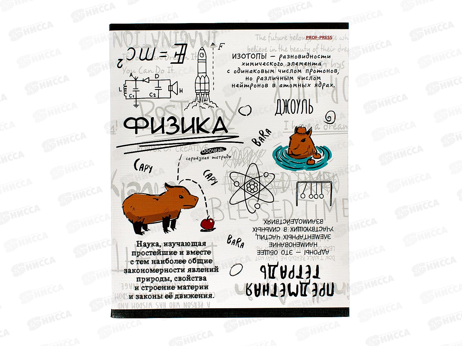 Тетрадь 48л кл. ПП &quotКапибара&quot Физика, 48-0001 *10/80