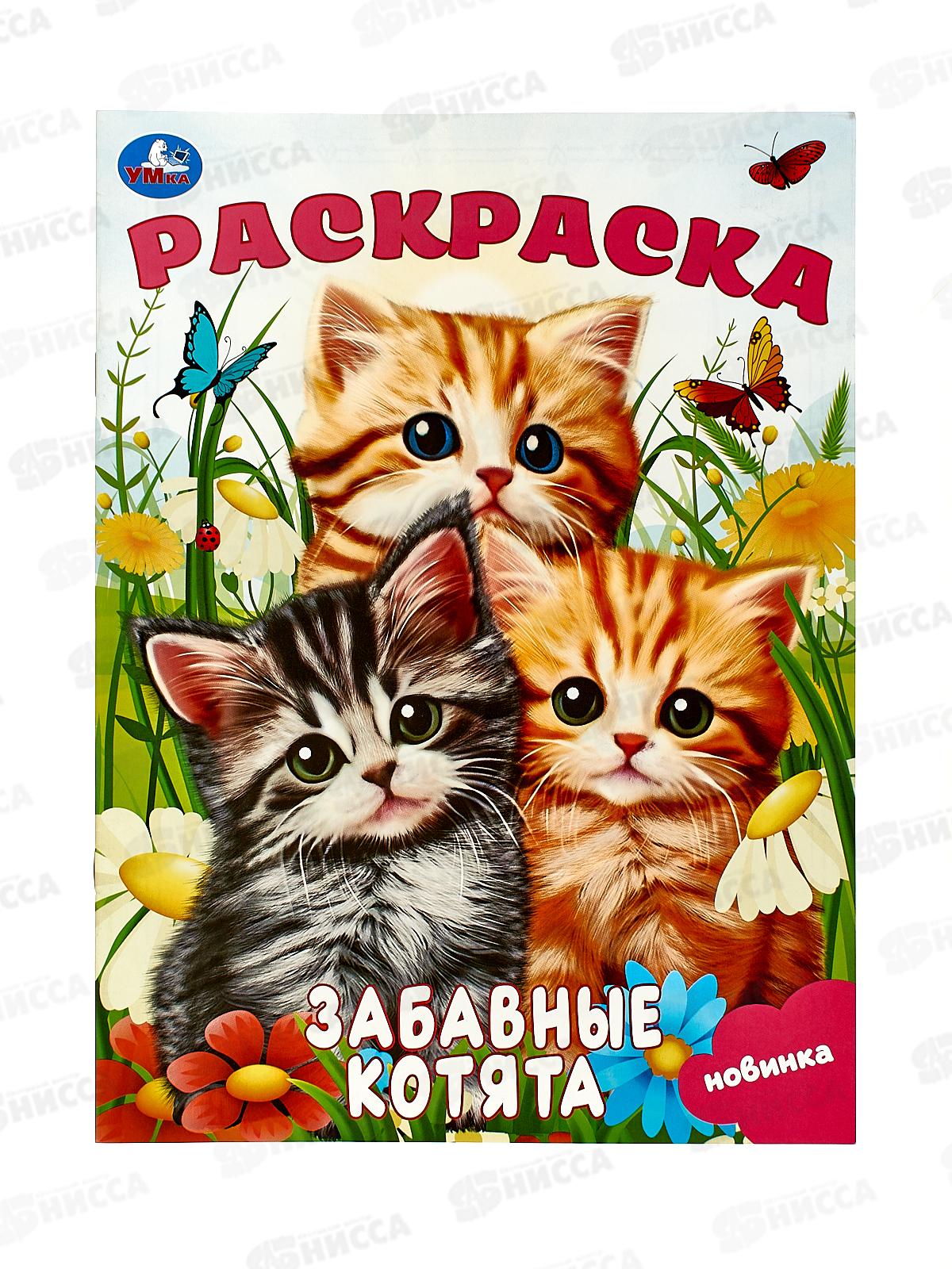 Раскраска "УМКА" 09245-2, Забавные котята. 214х290мм, 16стр.*50
