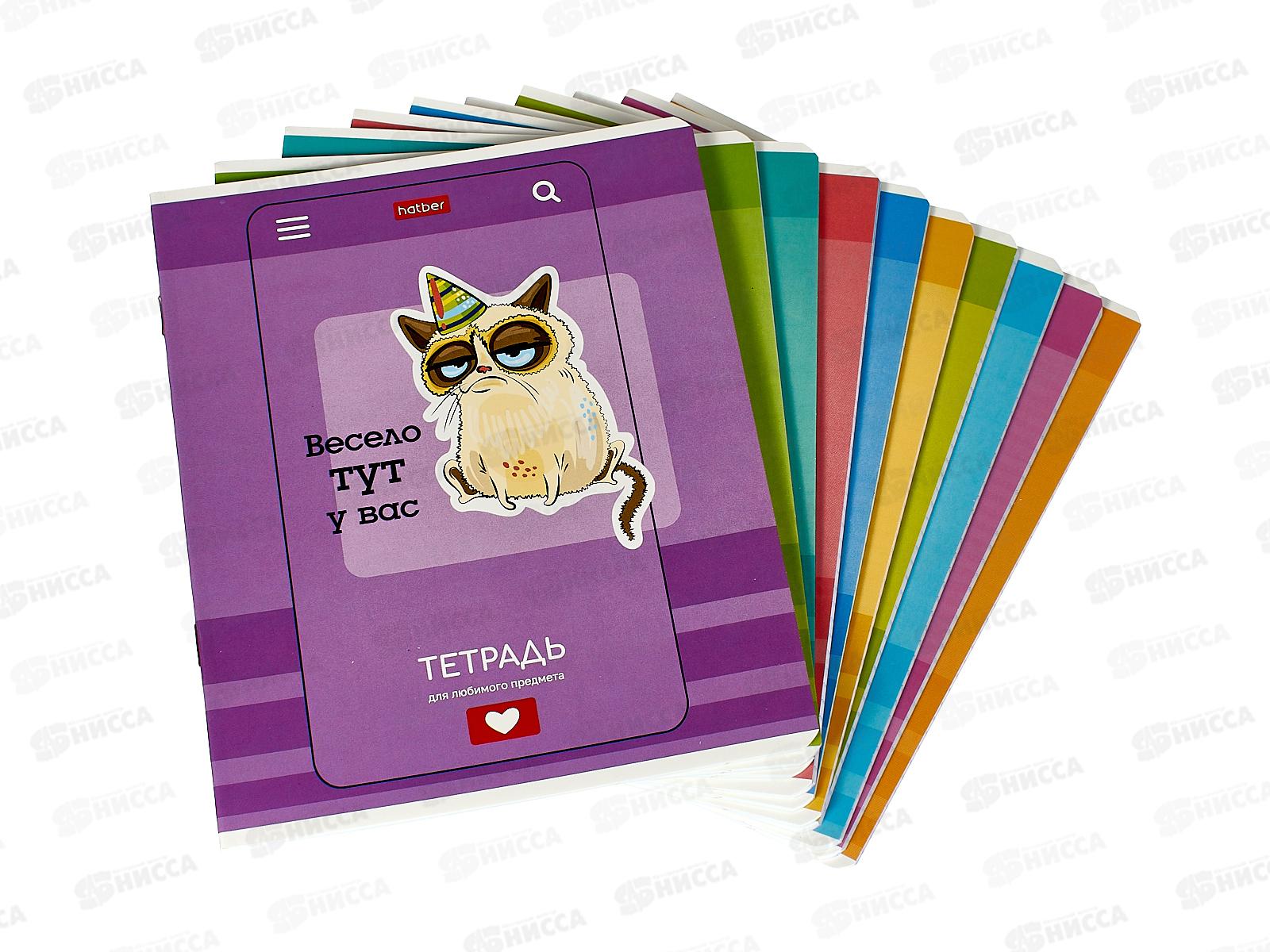 Набор 24листа тетрадей ХАТ 10предм., Статусы 084716 *18