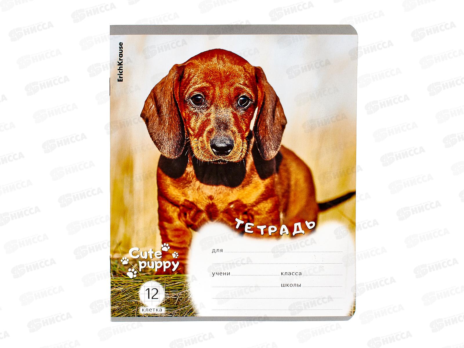 Тетрадь 12листов клетка ПОЛИ Щенки,59973 *10/280