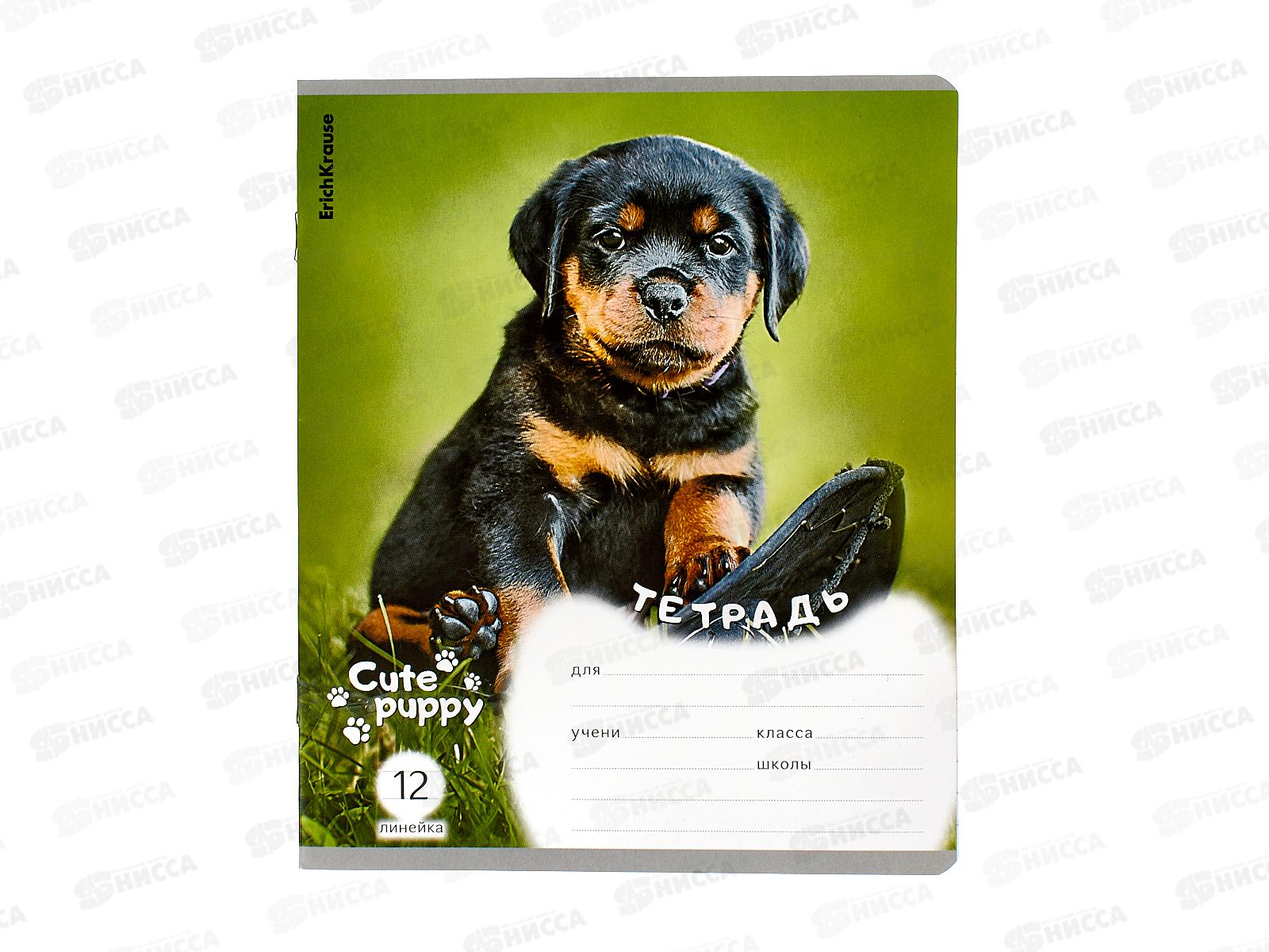 Тетрадь 12листов линия. ПОЛИ Щенки,59974 *10/280