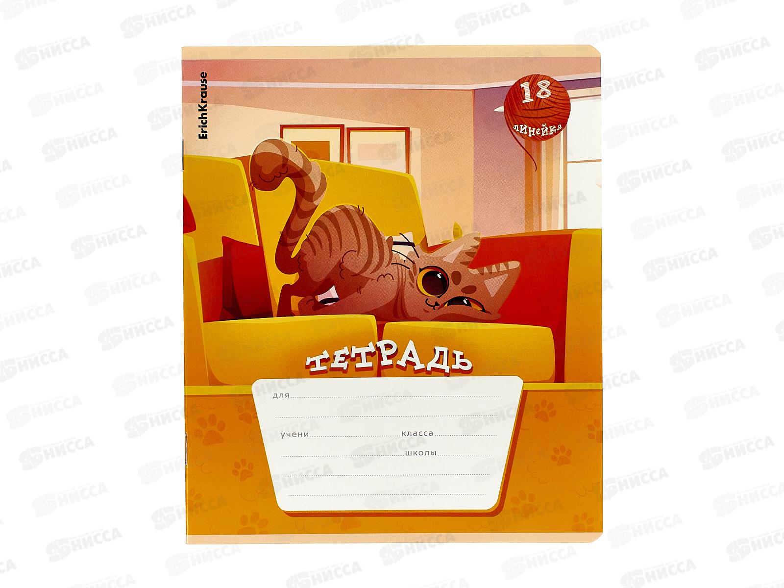 Тетрадь 18листов линия ПОЛИ Приключения на хвост,60557 *10/200