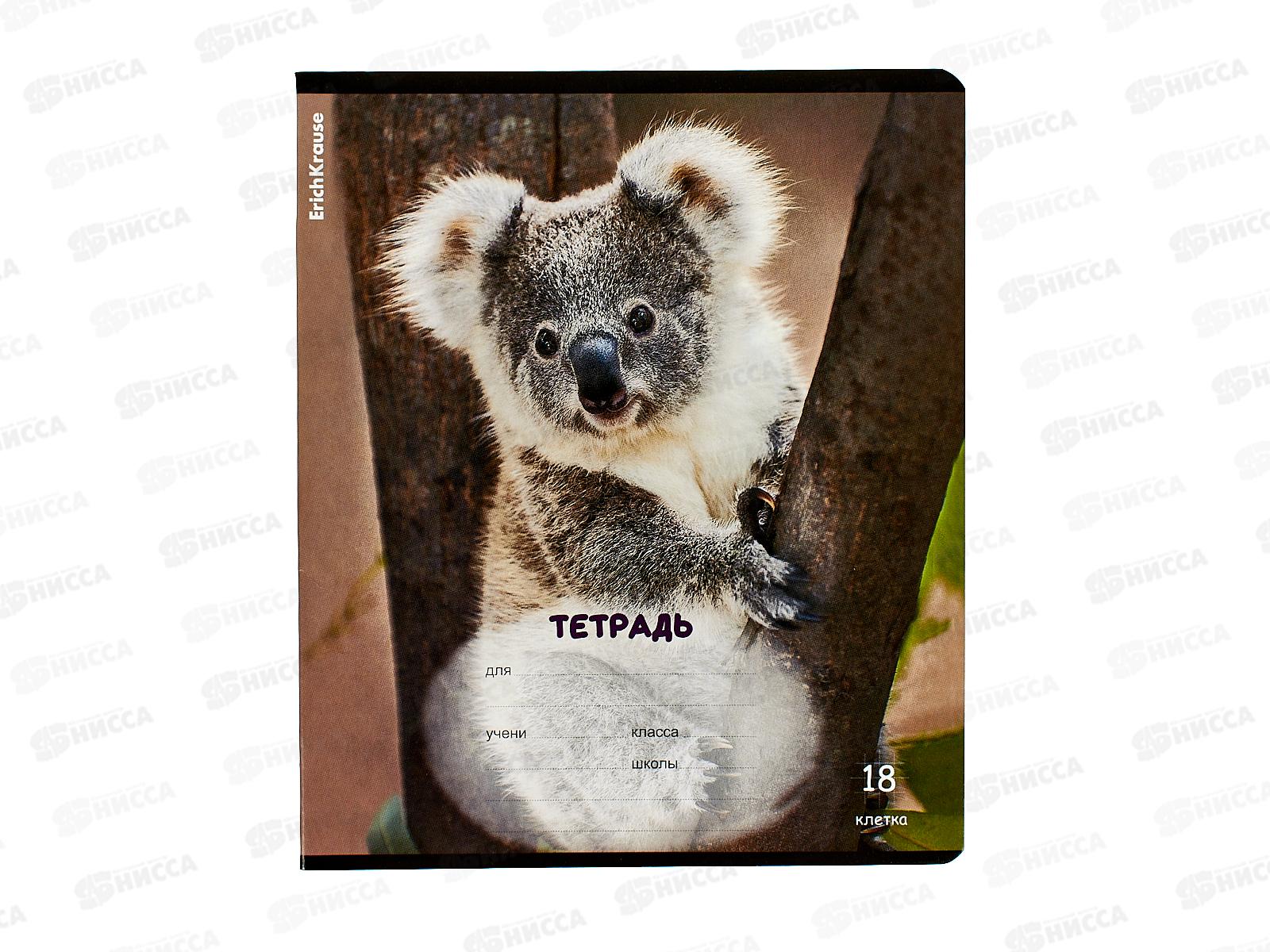 Тетрадь 18листов клетка ПОЛИ Пушистики,59975*10/200