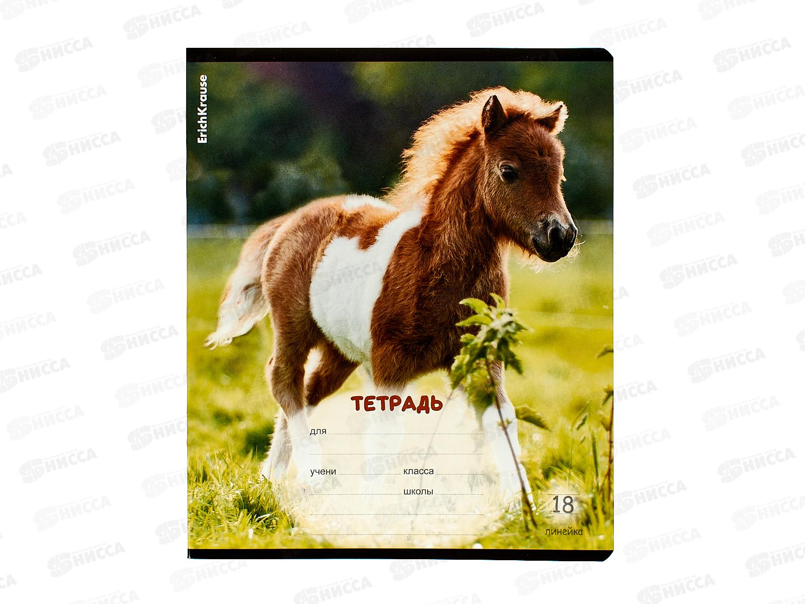 Тетрадь 18листов линия ПОЛИ Пушистики,59976*10/200