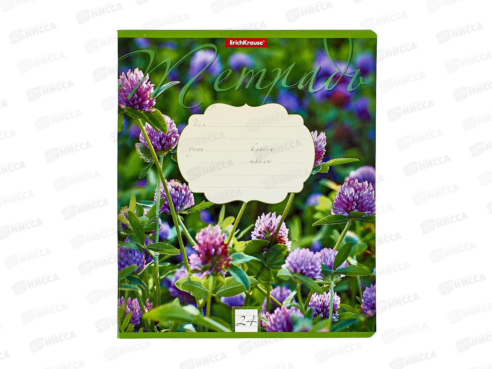 Тетрадь 24листа  линия  ПОЛИ Цветущие луга,49232 *10/160