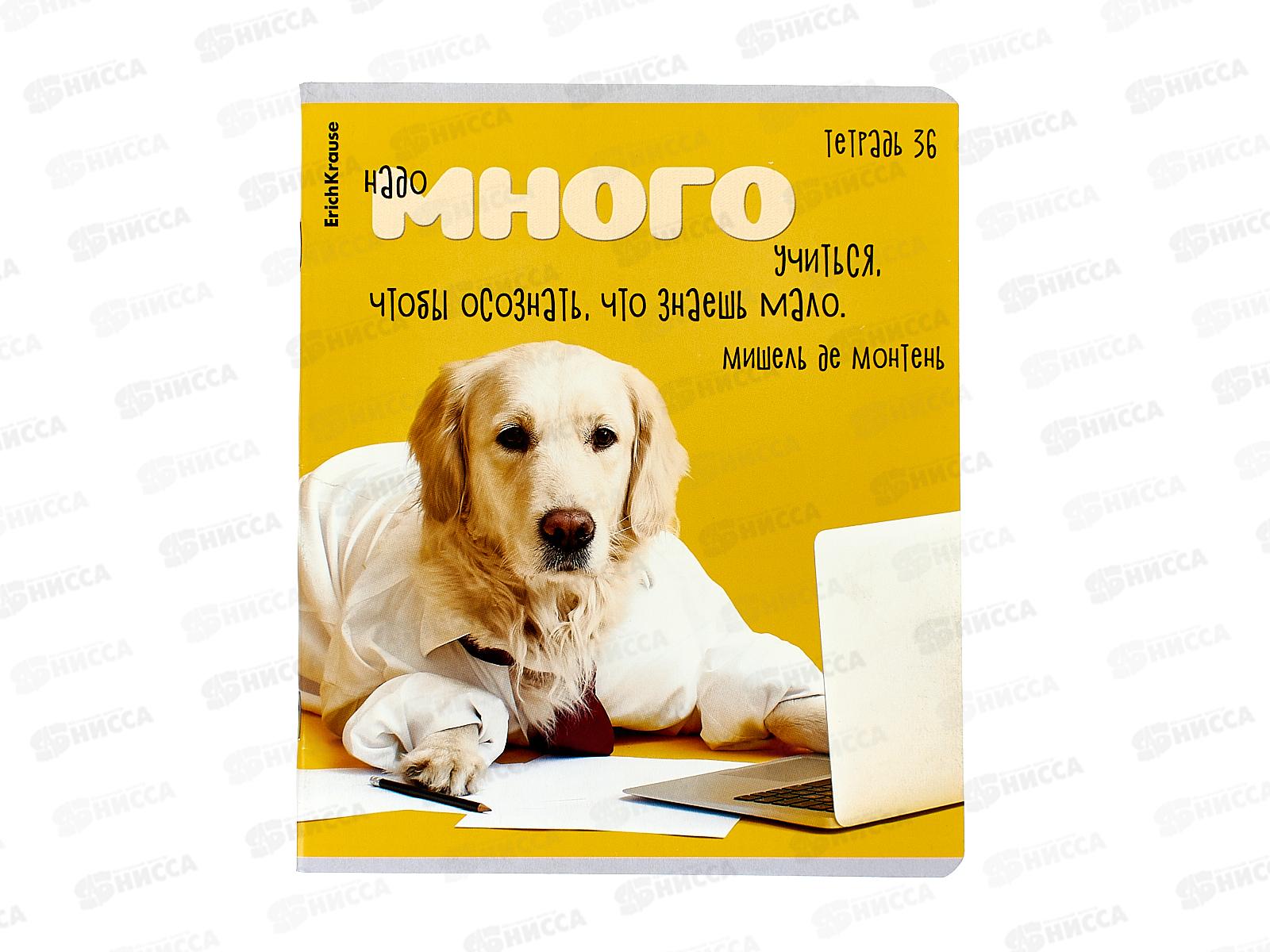 Тетрадь 36листов клетка  ПОЛИ Ученые собаки 60627*5/120