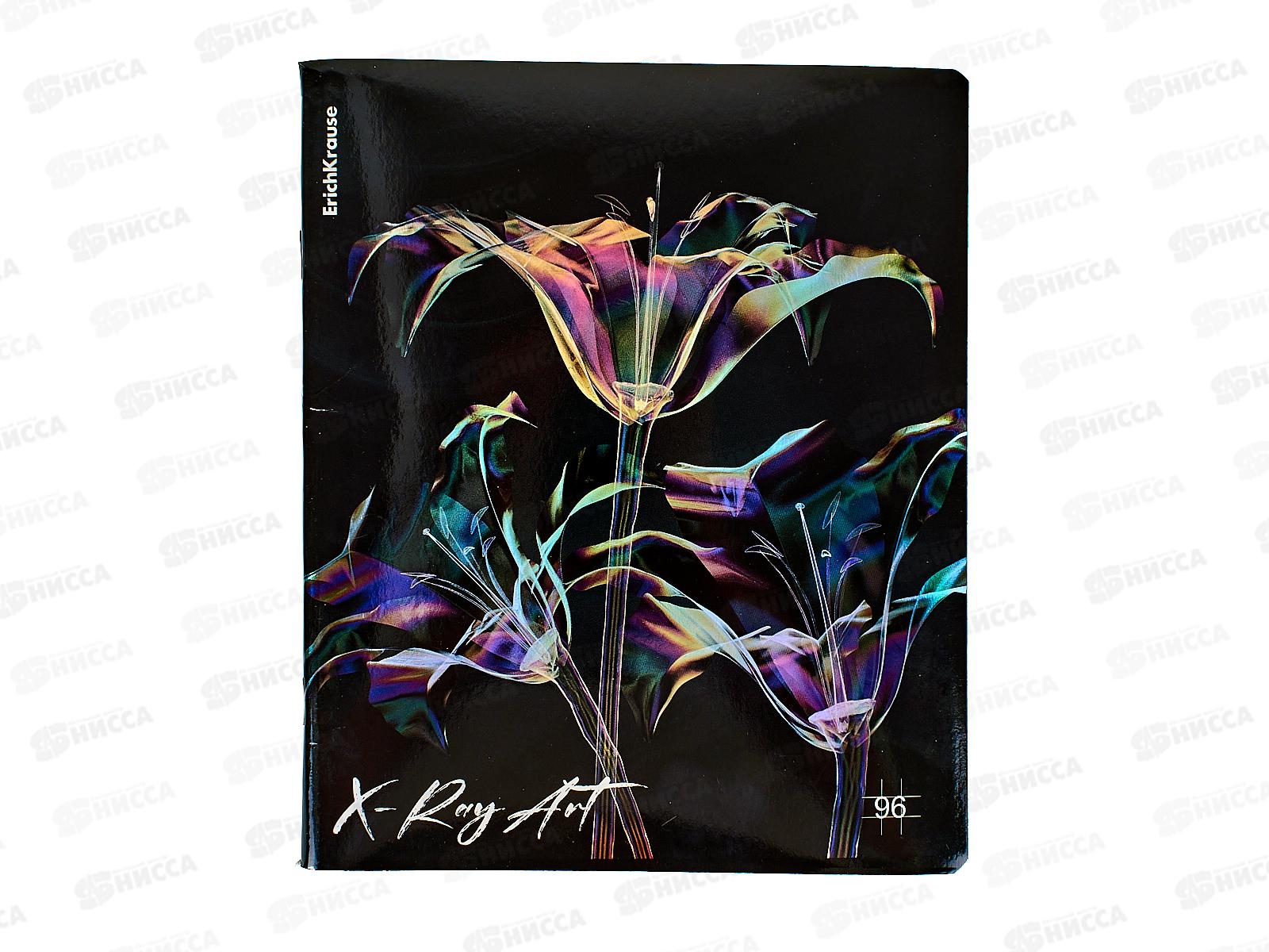 Тетрадь 96листов клетка  ПОЛИ X-Ray 60595 *5/60