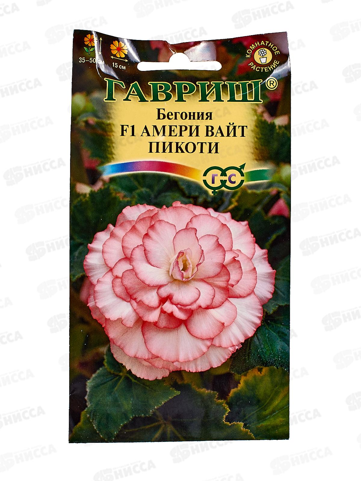 Бегония Амери вайт пикоти F1 гранул. 4 шт пробирка *10 ГШ +