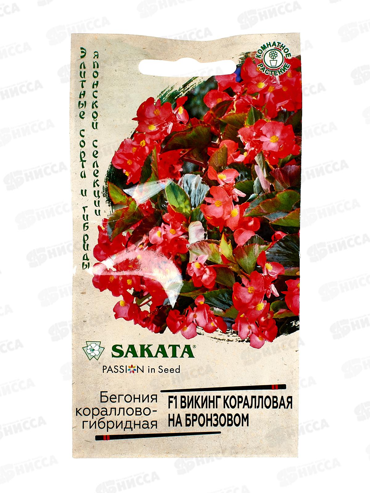 Бегония Викинг коралловая на бронзовом F1 гранул 4шт пробир *5 ГШ +