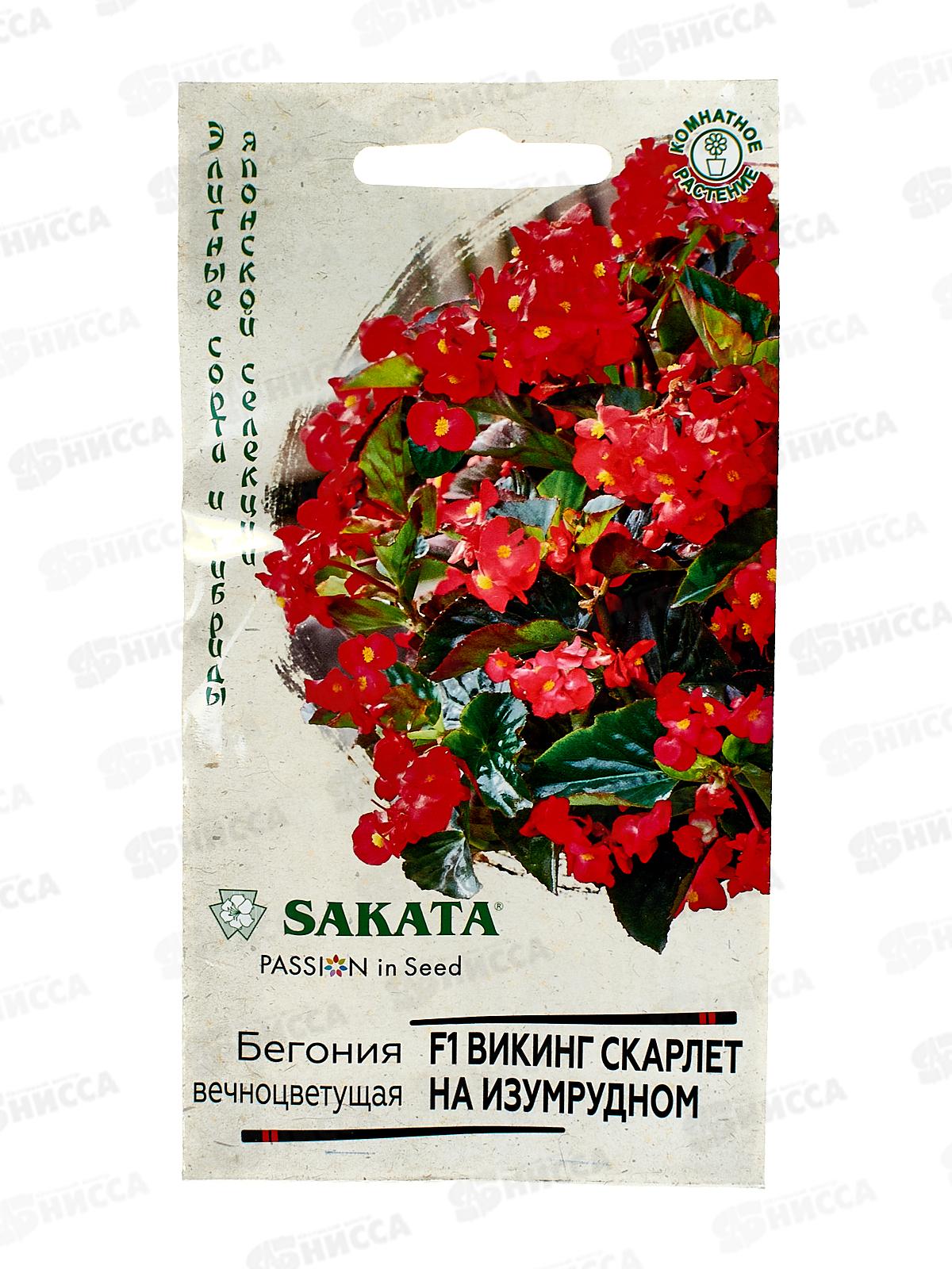 Бегония Викинг Скарлет на изумрудном F1 гранул 4шт пробир *5 ГШ +