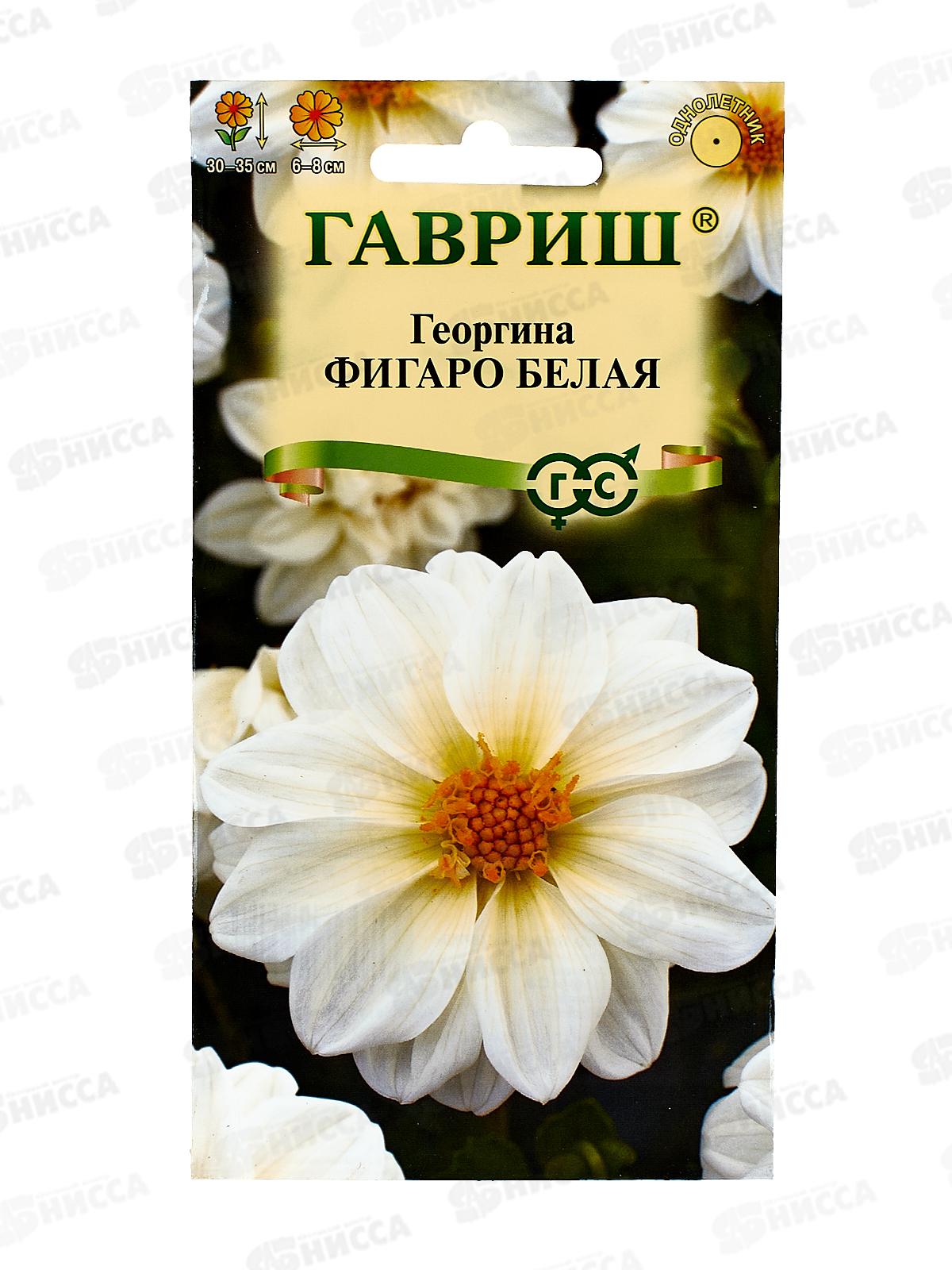 Георгина Фигаро белая 7шт Н23  *10 ГШ +