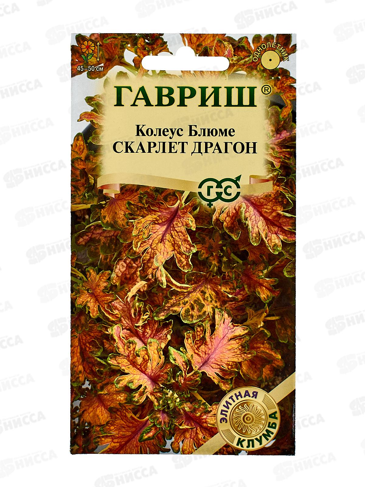 Колеус Скарлет Драгон 4шт Элитная клумба *10 ГШ +