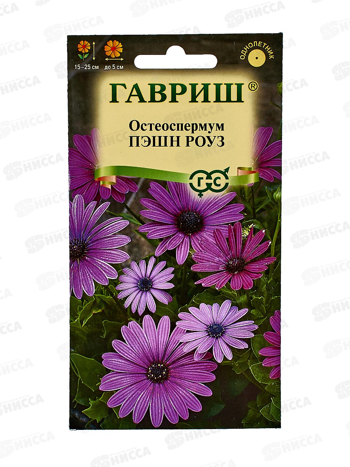 Остеоспермум Пэшн роуз 3шт Н23 *10 ГШ +