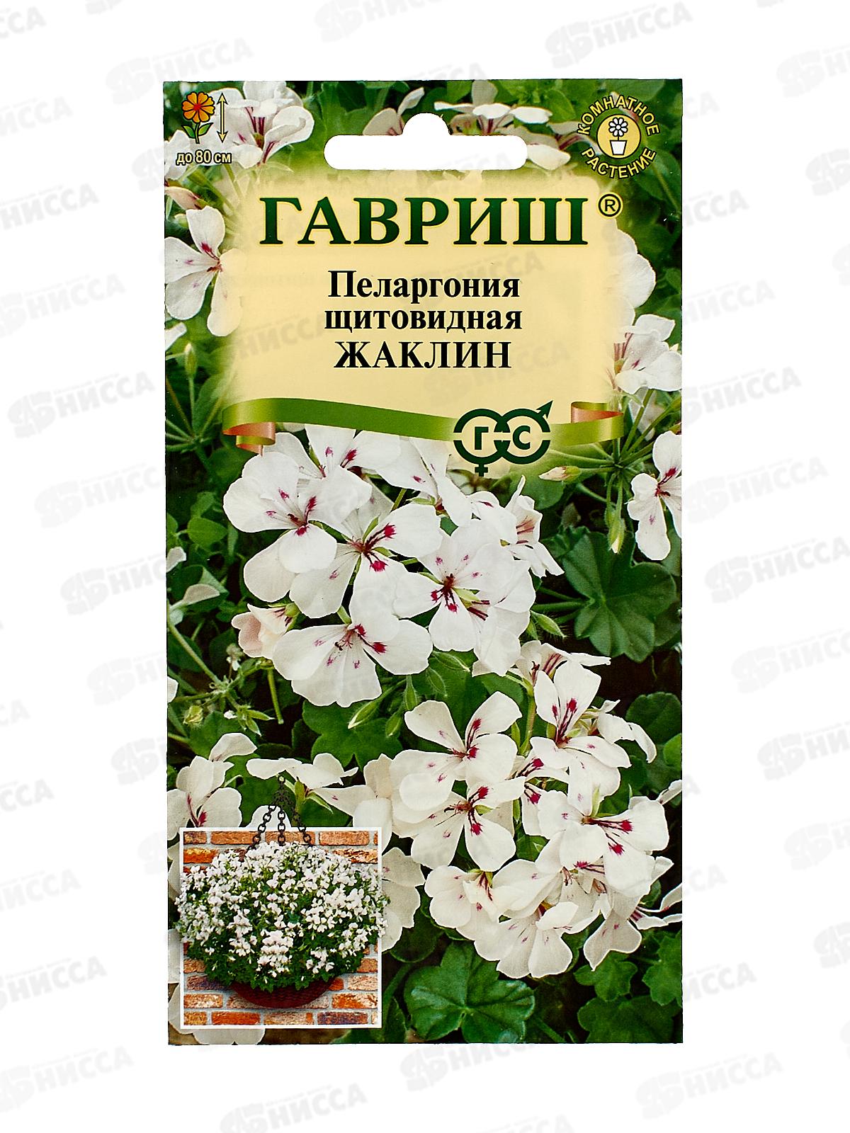 Пеларгония Жаклин ампельная 3шт Н22  *10 ГШ +