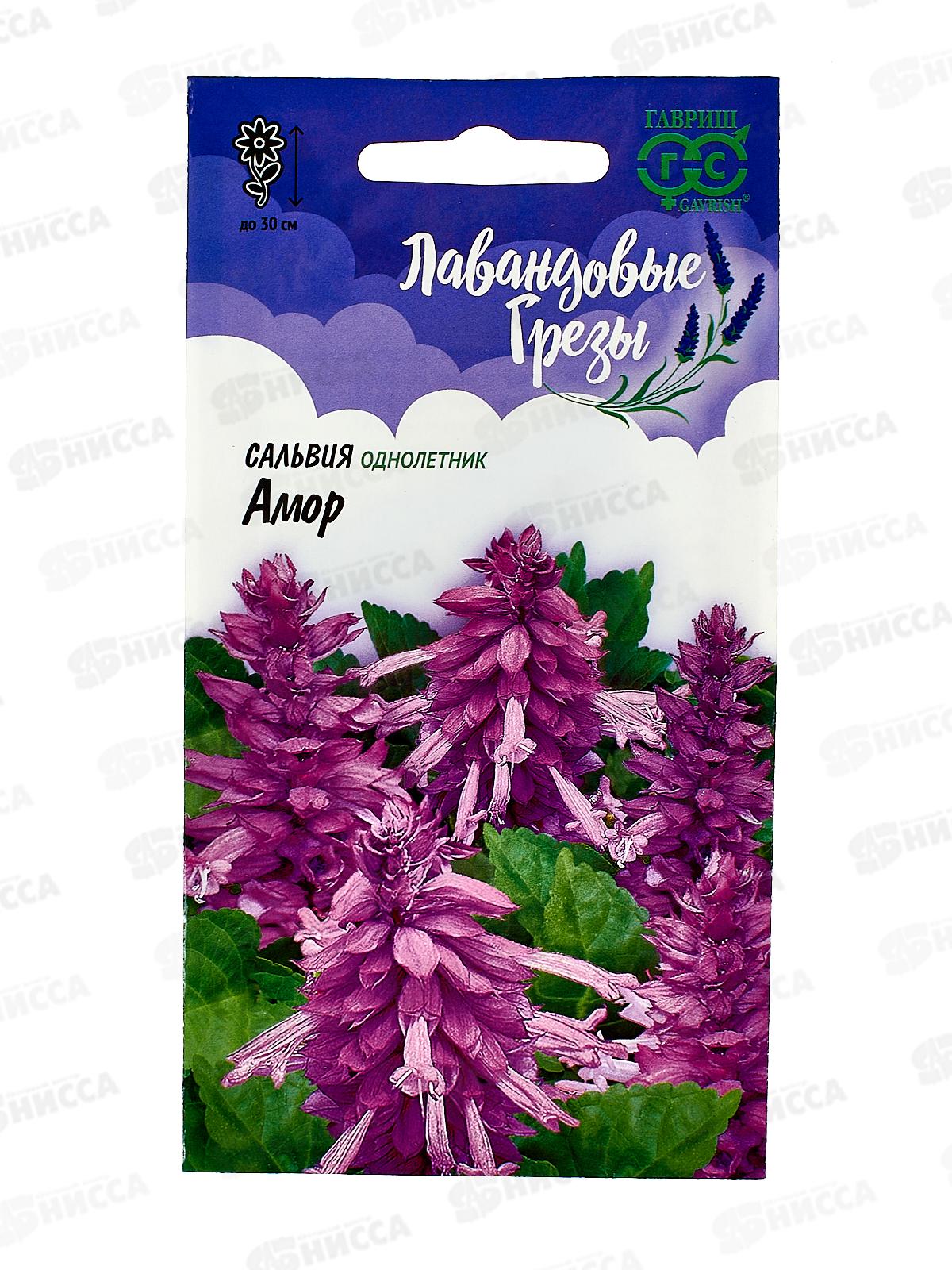 Сальвия Лавандовая Амор 4шт  *10 ГШ +