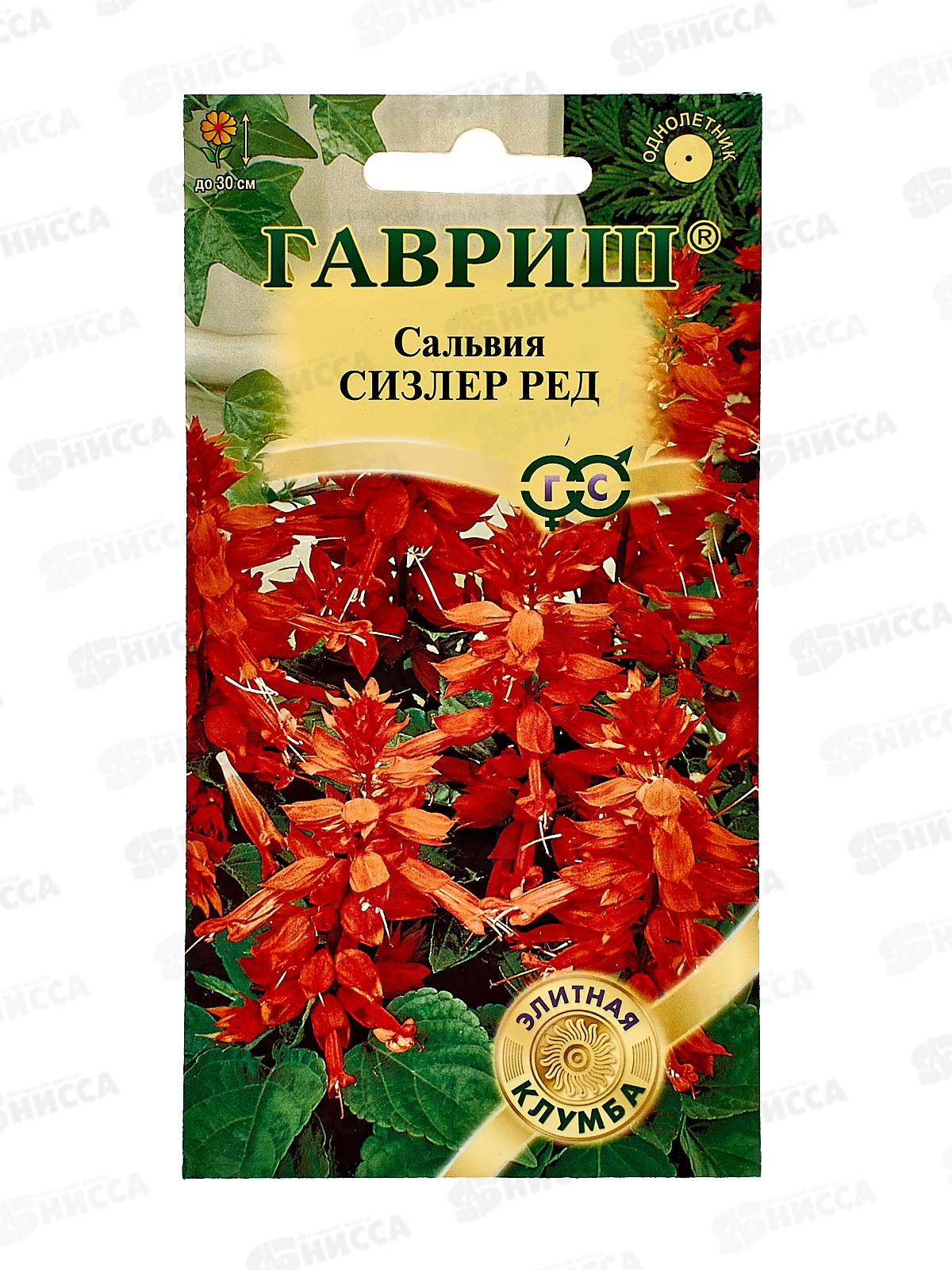 Сальвия Сизлер Ред 4шт *10 ГШ +