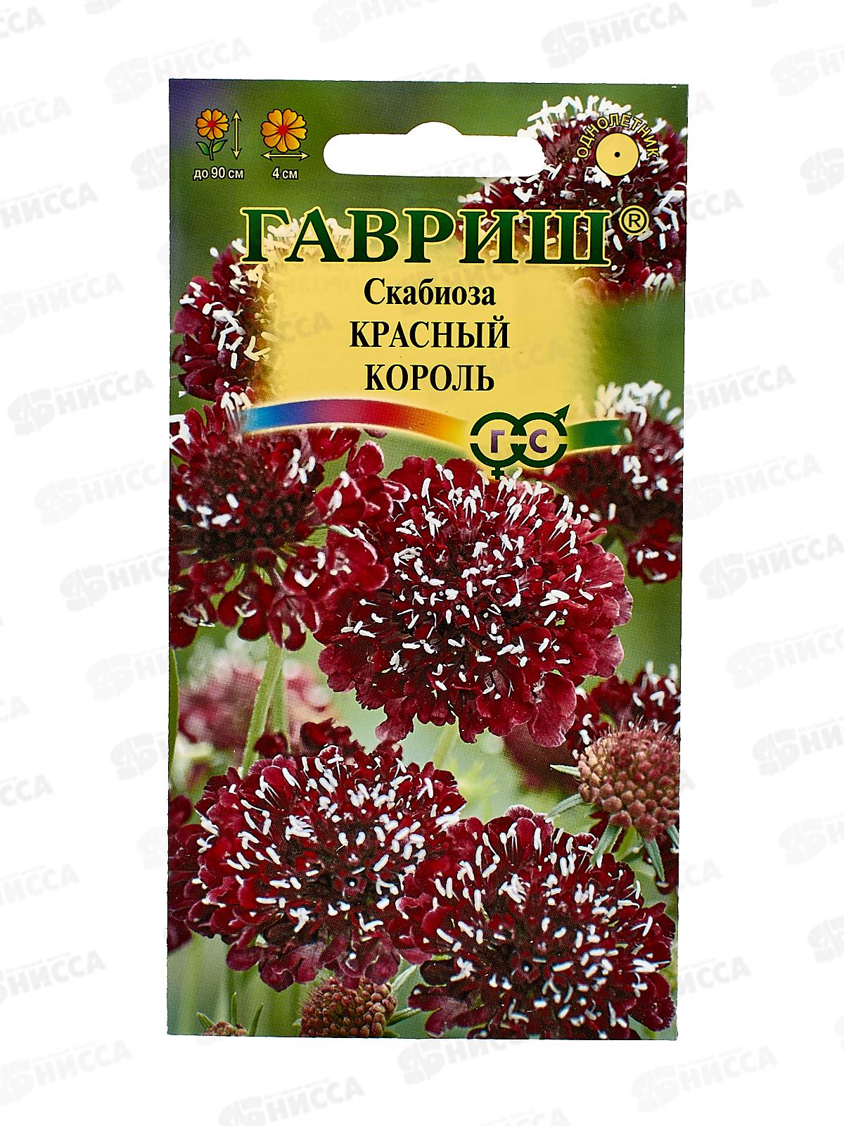 Скабиоза темнопурпурная Красный король махр. смесь 6шт *10 ГШ +