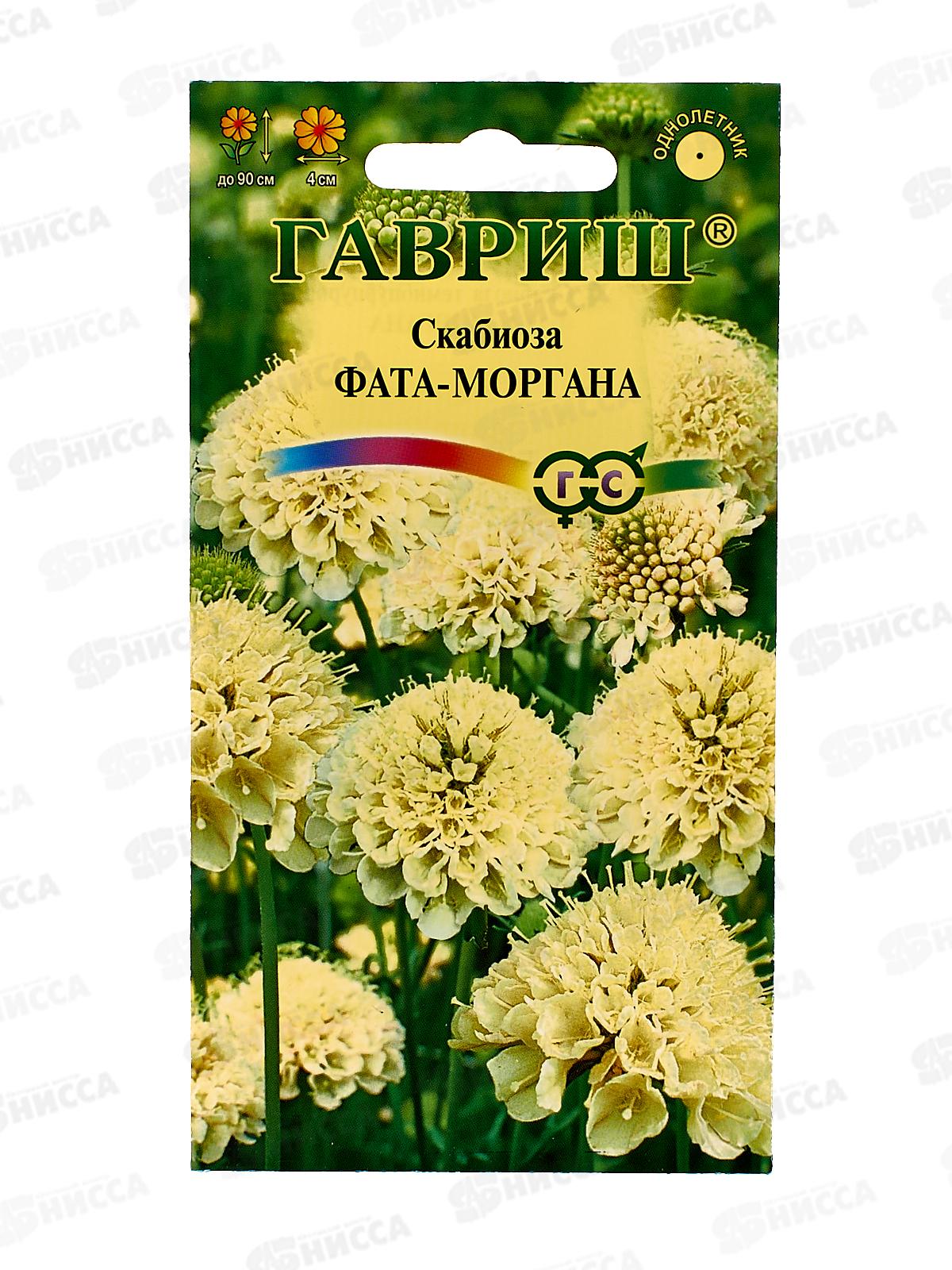 Скабиоза темнопурпурная Фата-моргана махр 6шт *10 ГШ +