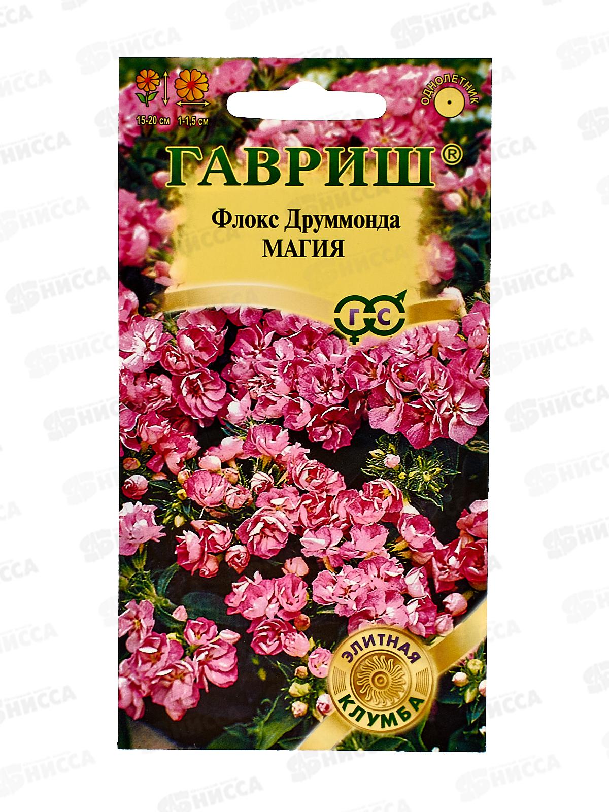 Флокс Магия Друммонда 8шт  *10 ГШ +