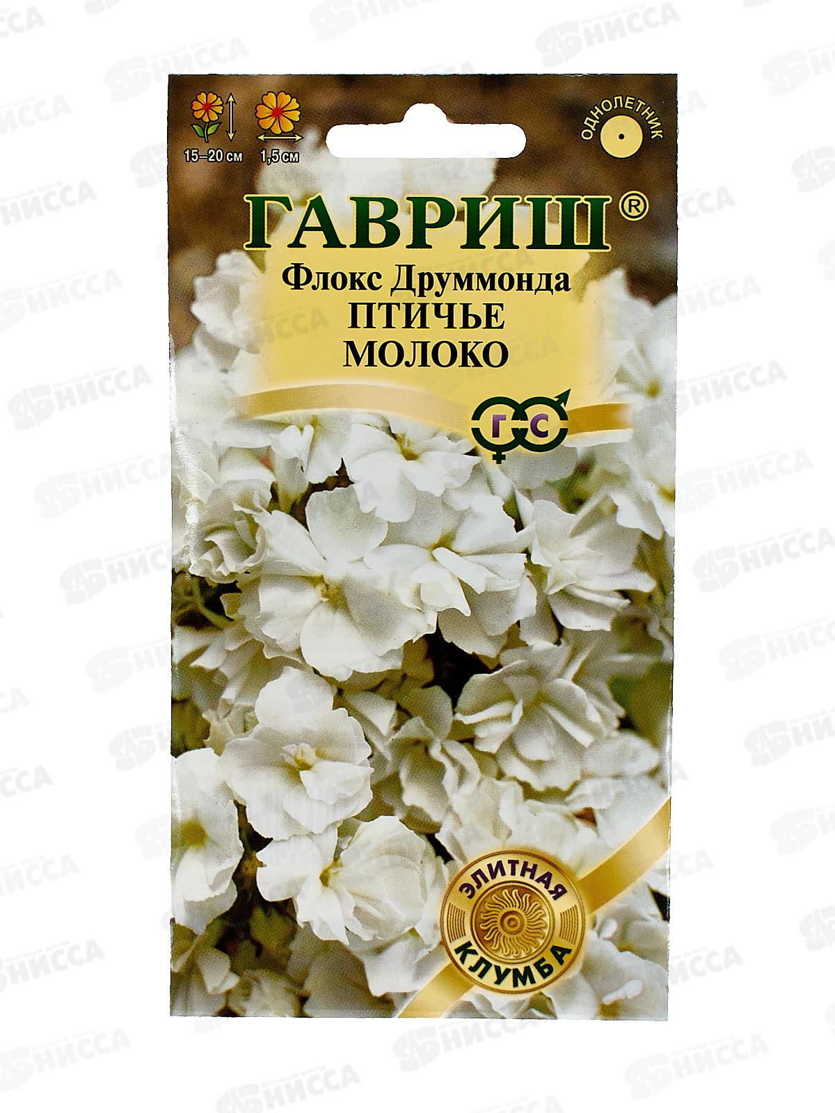 Флокс Птичье молоко Друммонда 8шт  *10 ГШ +