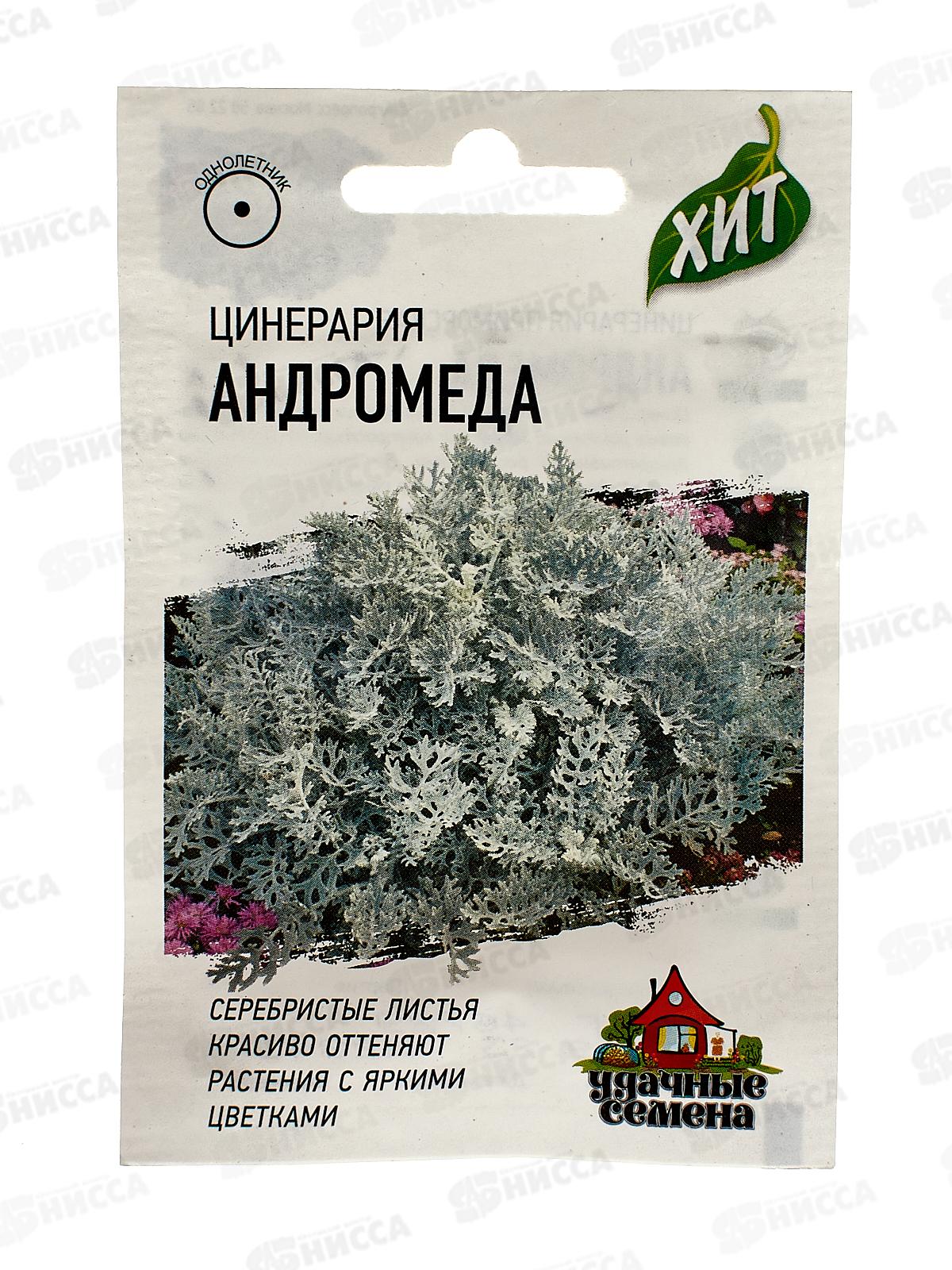 Цинерария Андромеда приморская 0,05г ХИТ хЗ  *10 ГШ +