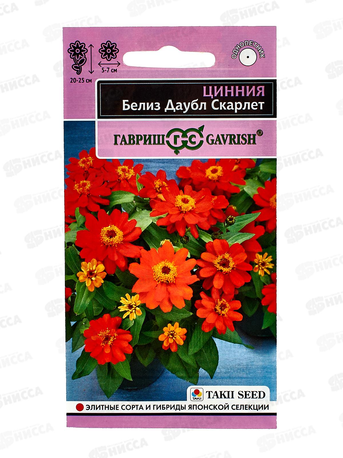 Цинния Белиз даубл скарлет 5шт *10 ГШ +