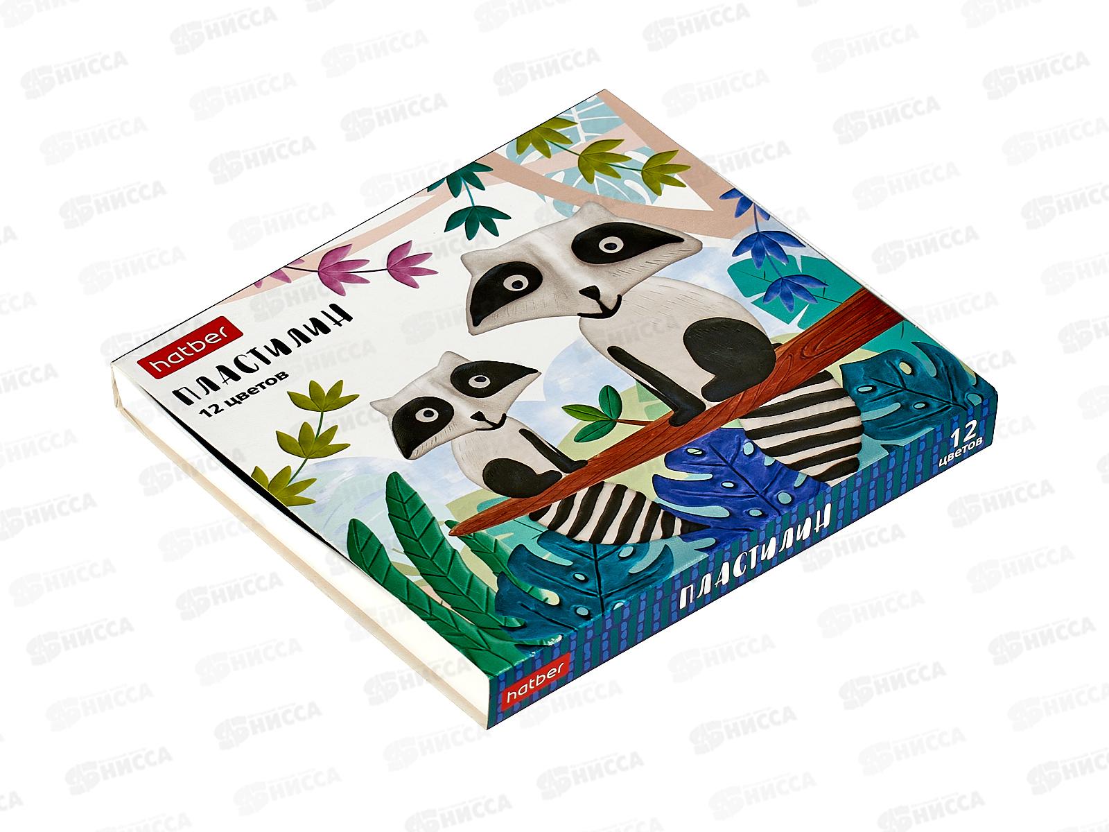 Пластилин 12цветов 240г Hatber COLORA, стек, 071785 *16