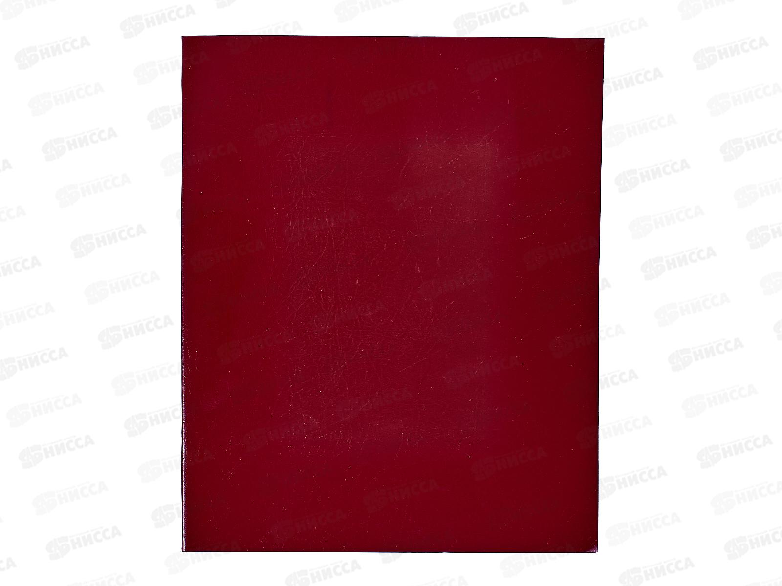 Тетрадь 48листов клетка  Hatber б/в  Бордо *60