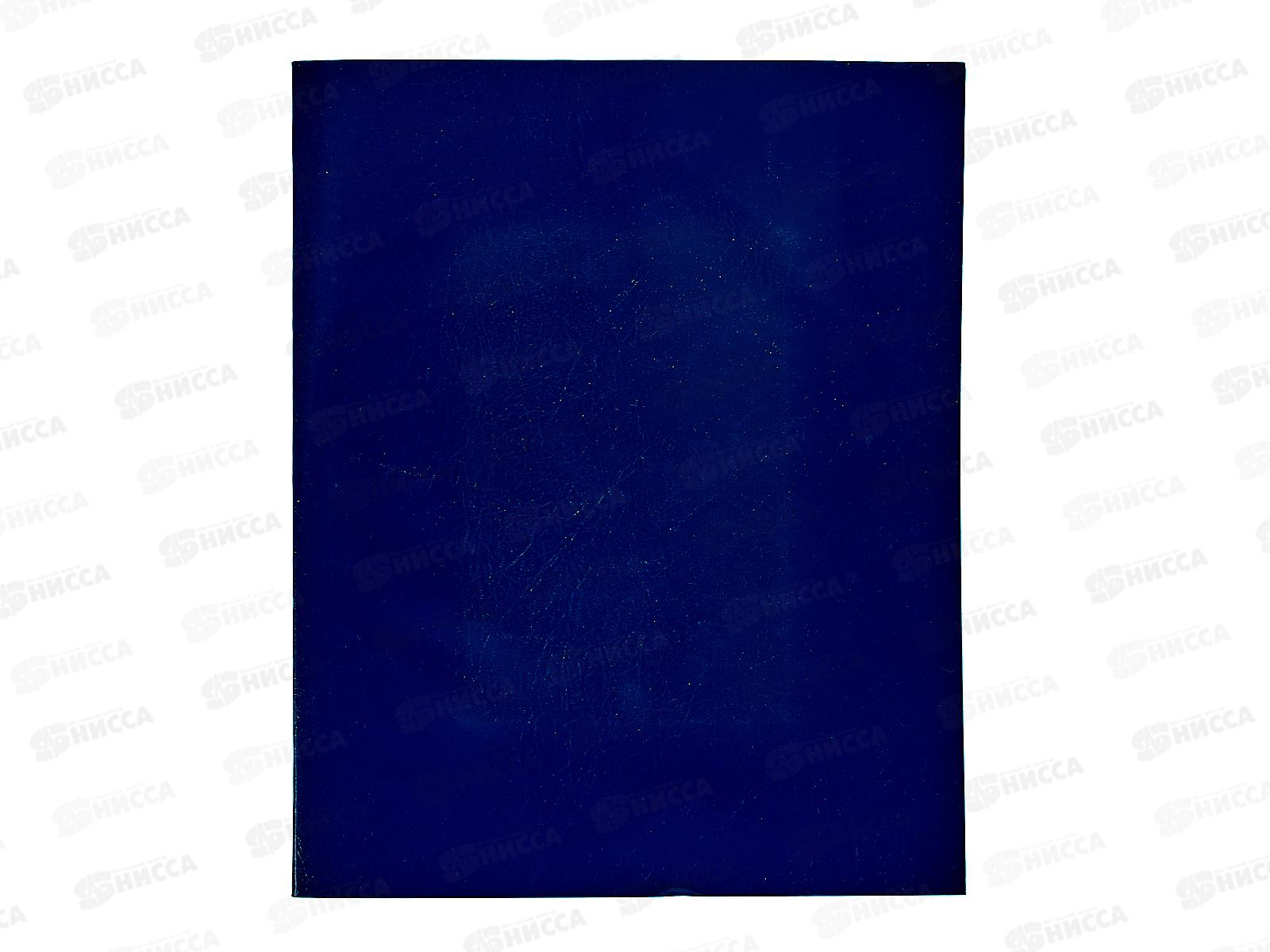 Тетрадь 48листов клетка   Hatber б/в  Синяя *100